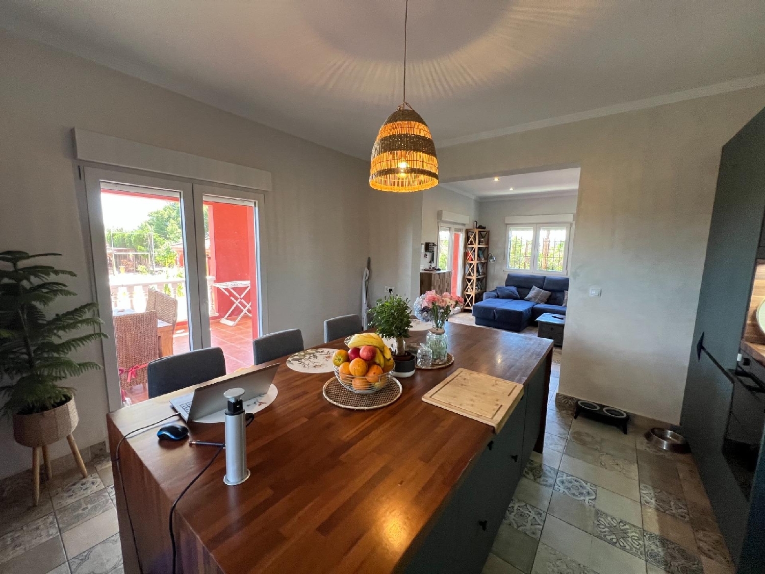  en venta finca rústica Dolores Baix Segura 2