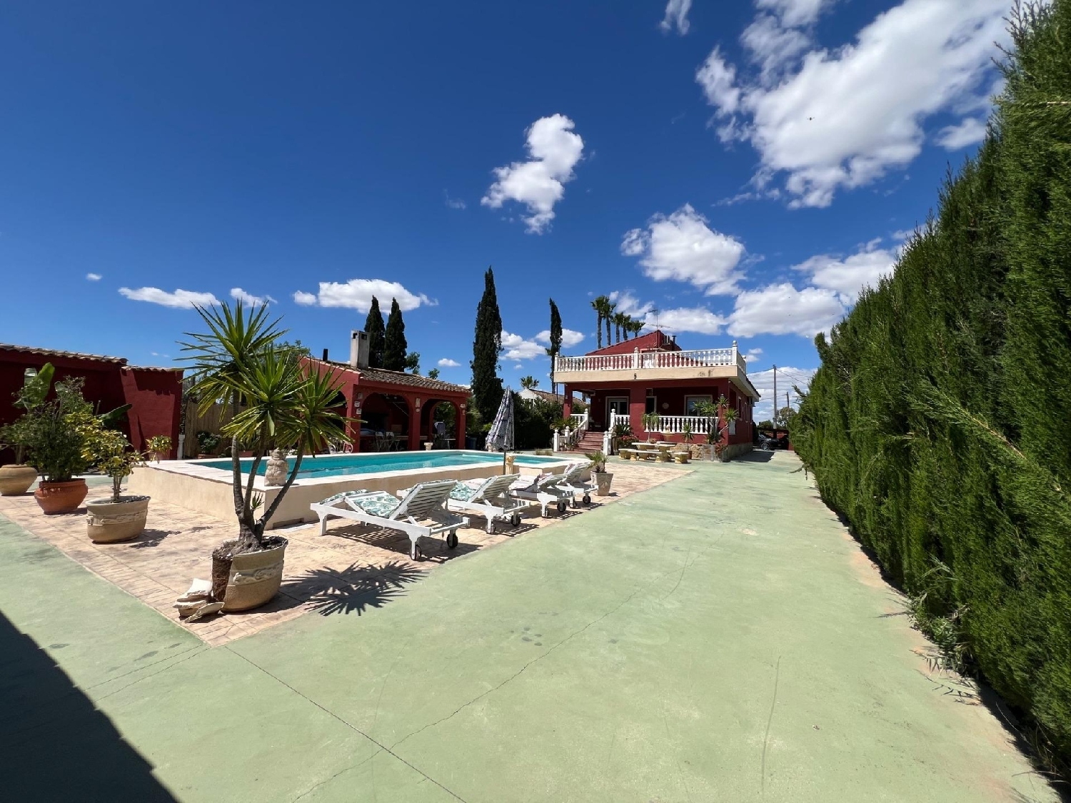  en venta finca rústica Dolores Baix Segura 6