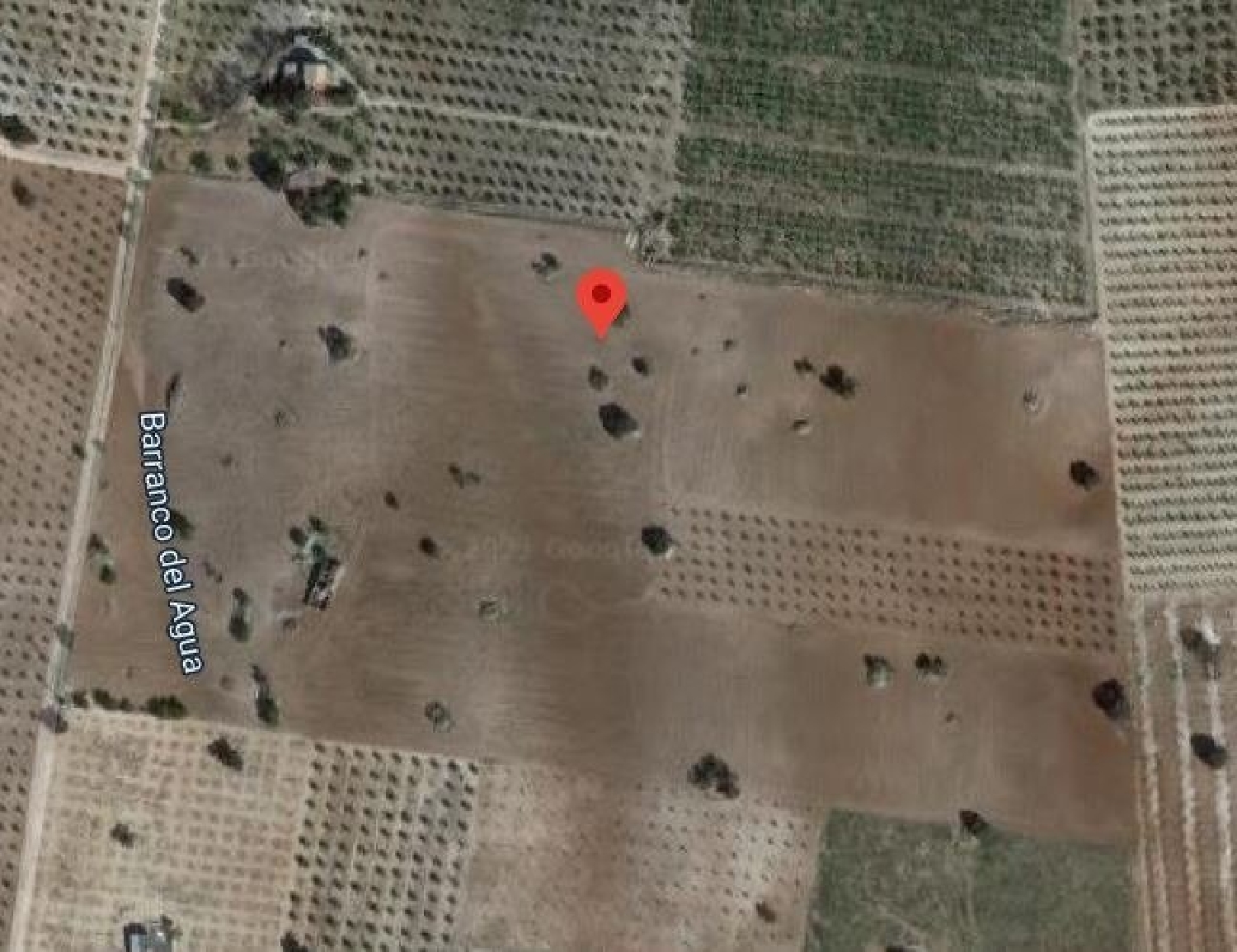  for sale country house El Salar Baix Segura 2