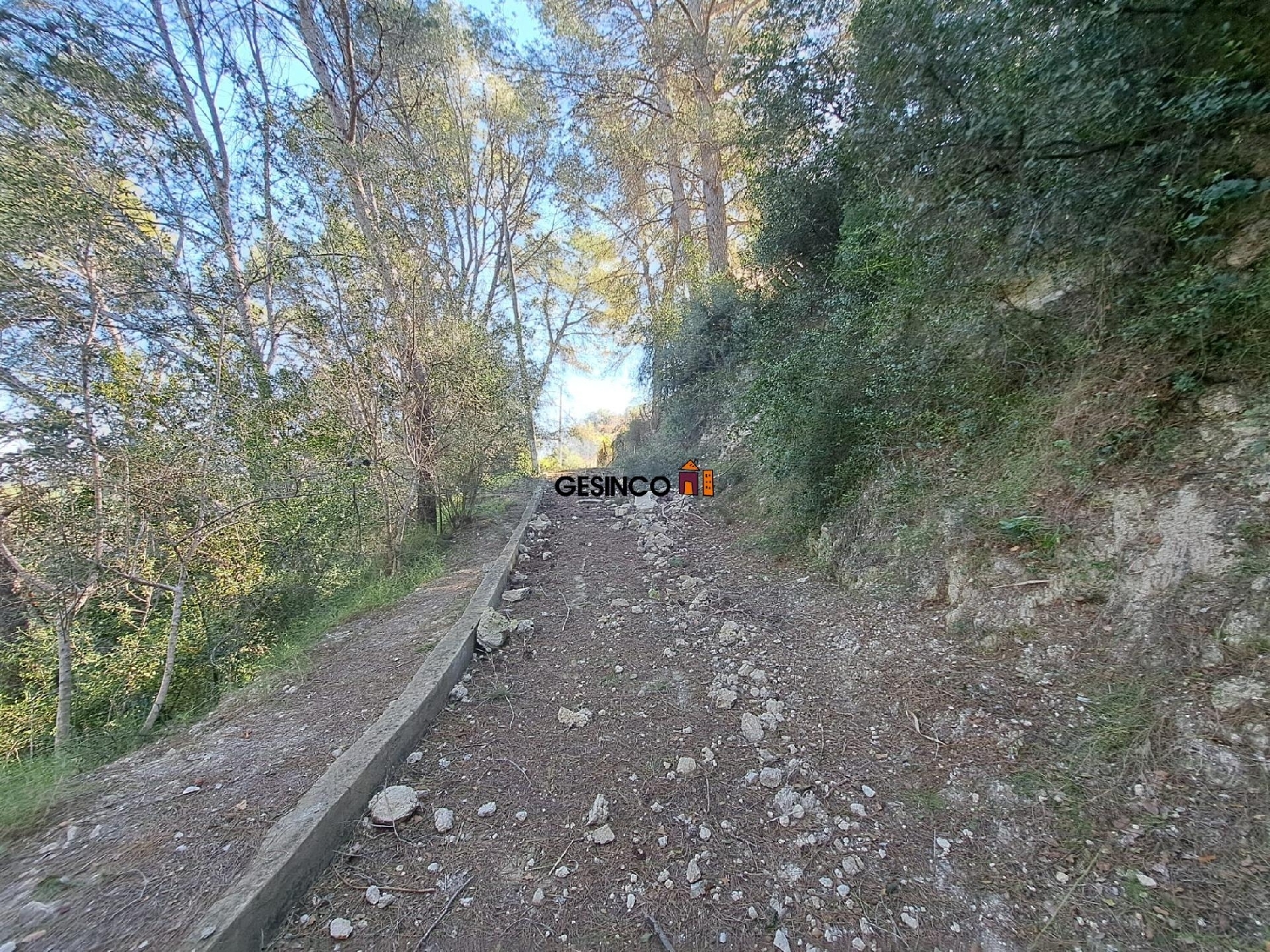 kaufen Landhaus Genoves Zona Norte 7