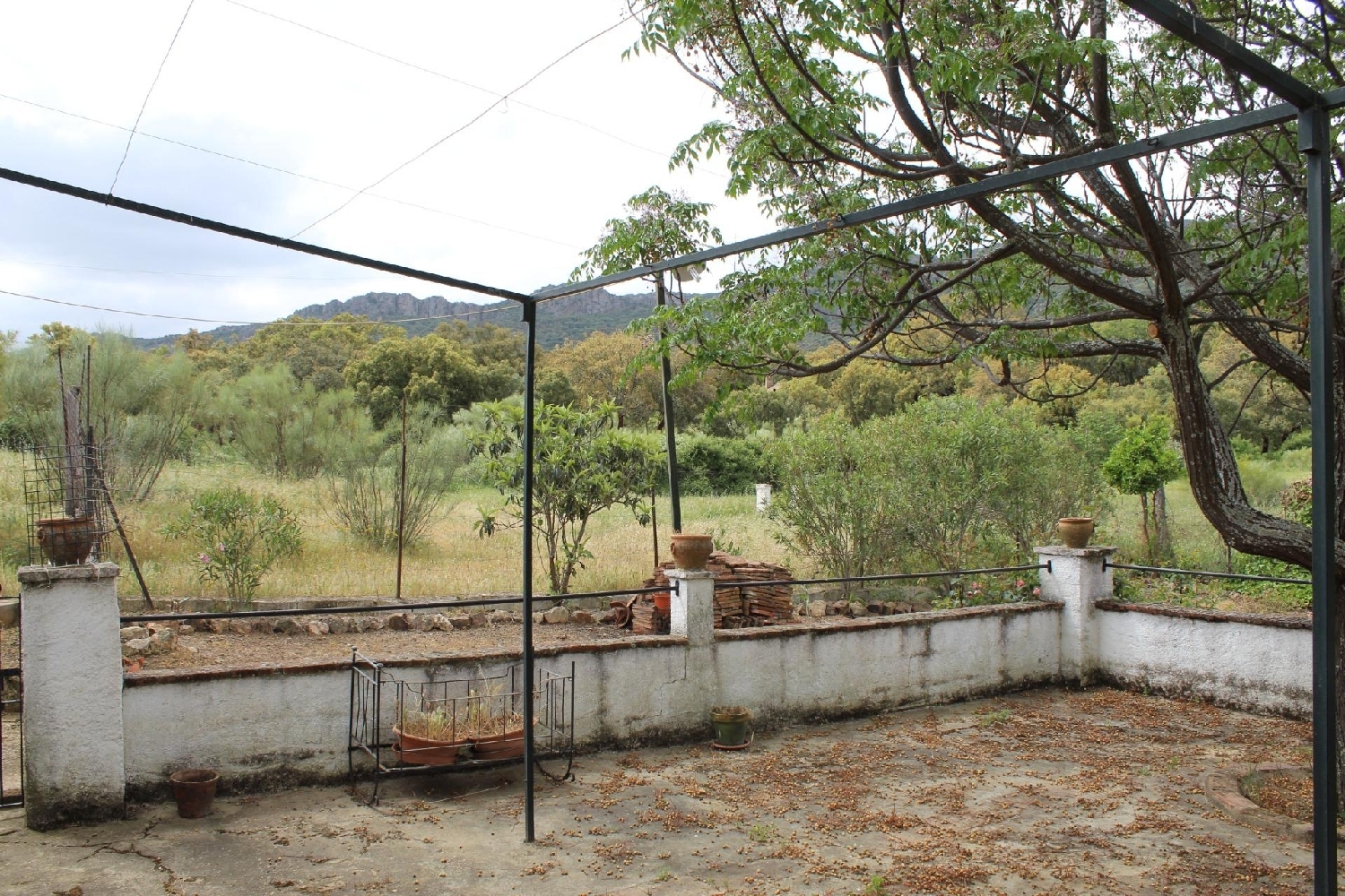  à vendre maison de campagne Hornachos Tierra De Barros 4