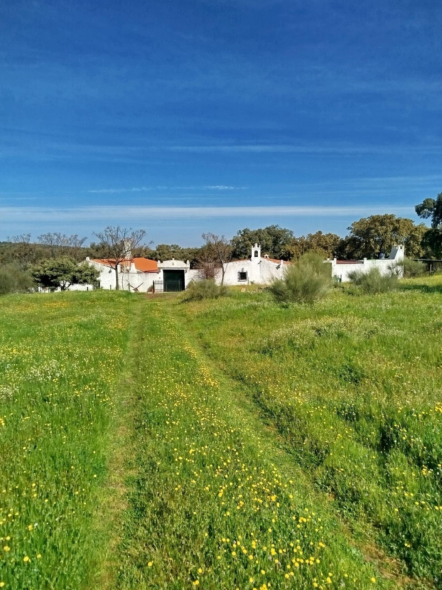  à vendre maison de campagne Hornachos Tierra De Barros 2
