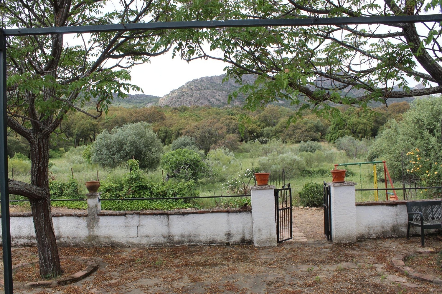  à vendre maison de campagne Hornachos Tierra De Barros 3