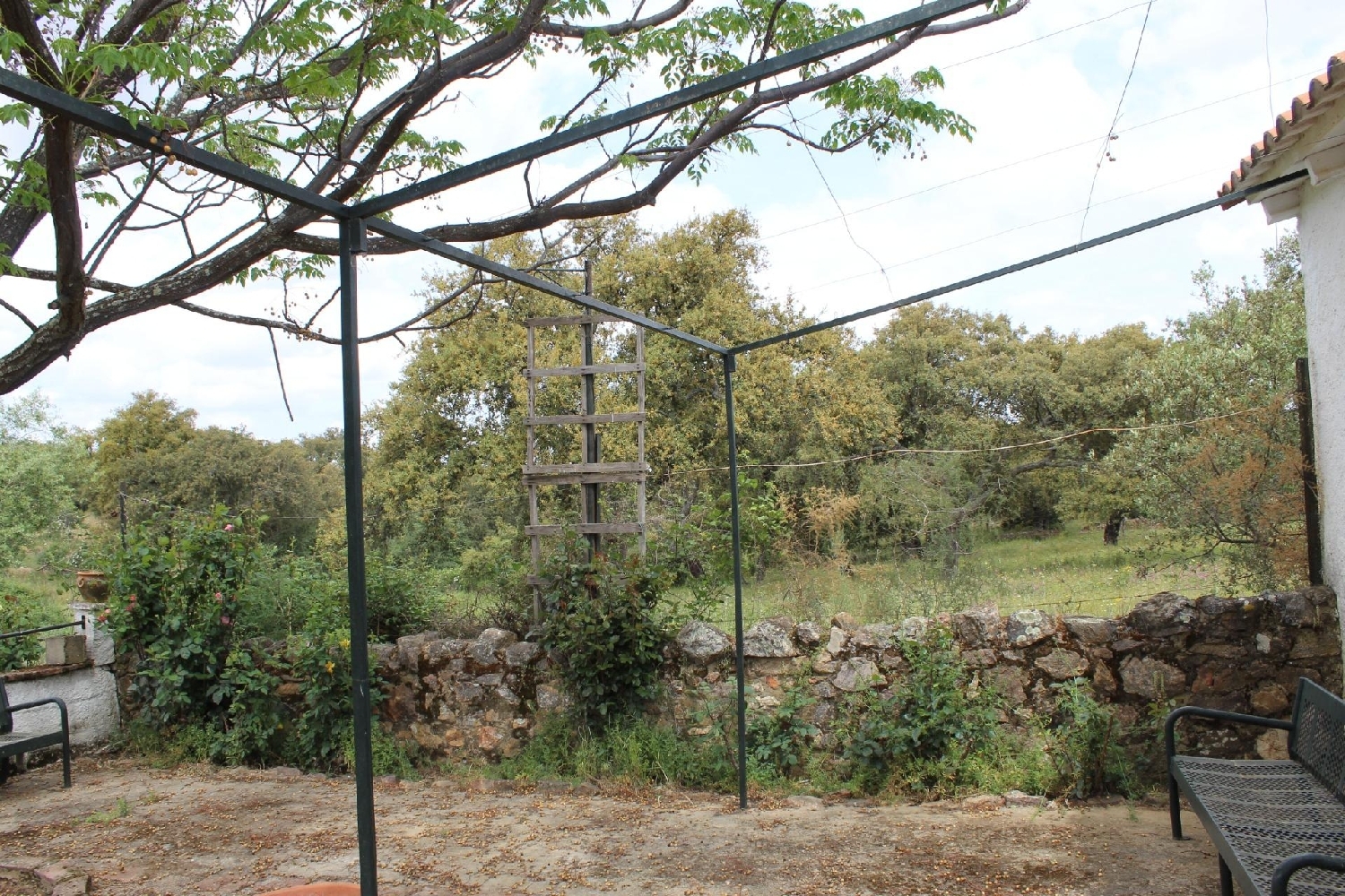  à vendre maison de campagne Hornachos Tierra De Barros 5