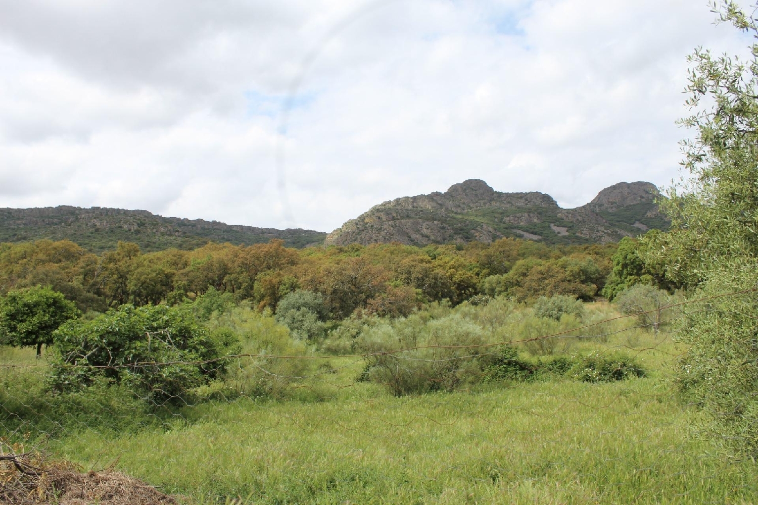  à vendre maison de campagne Hornachos Tierra De Barros 6
