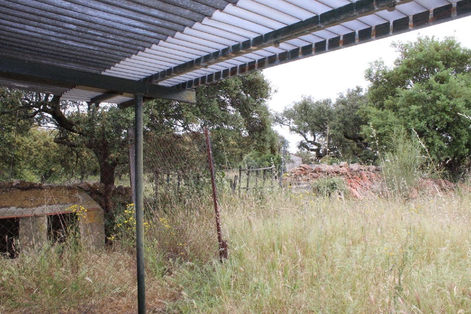  à vendre maison de campagne Hornachos Tierra De Barros 8