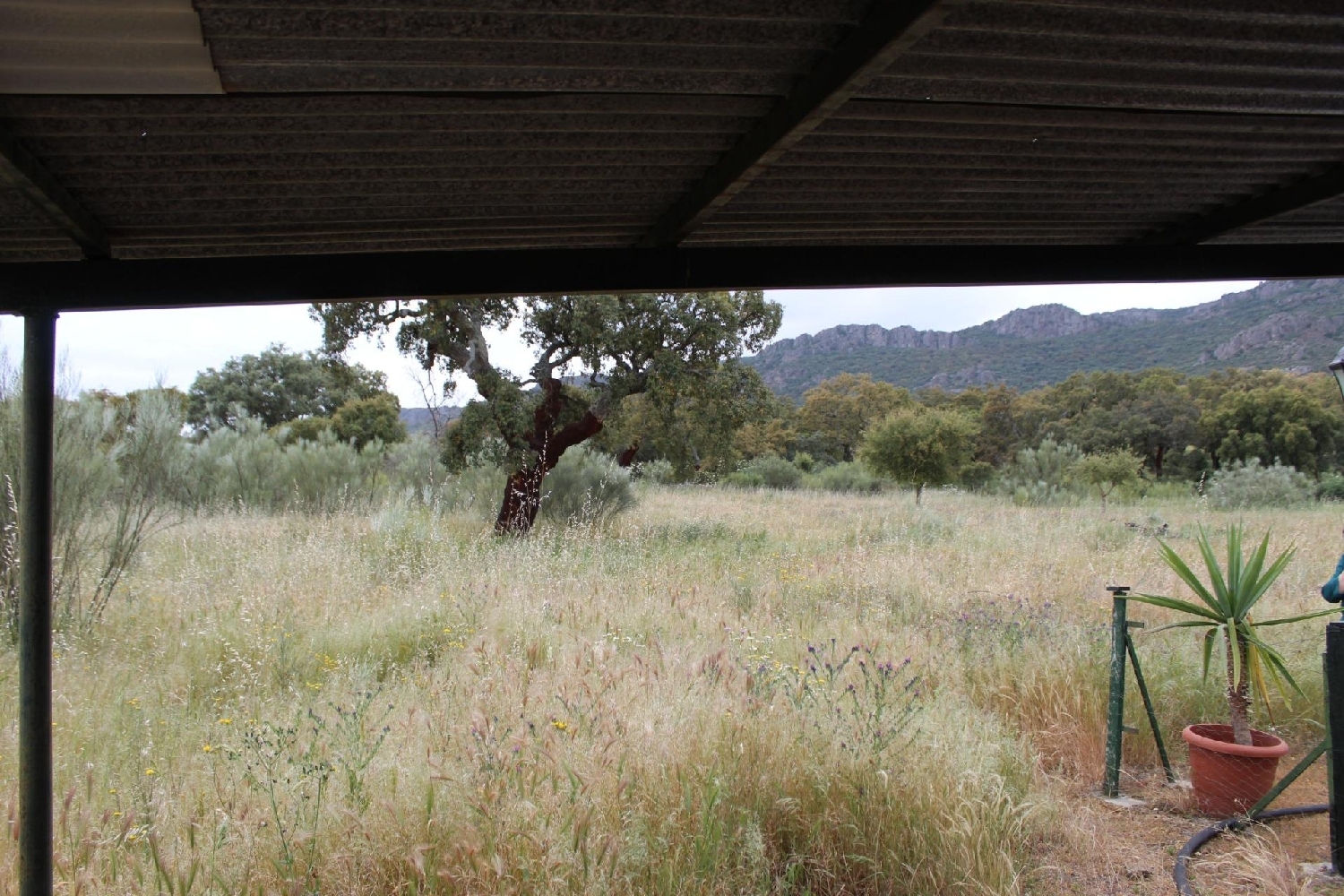  à vendre maison de campagne Hornachos Tierra De Barros 7
