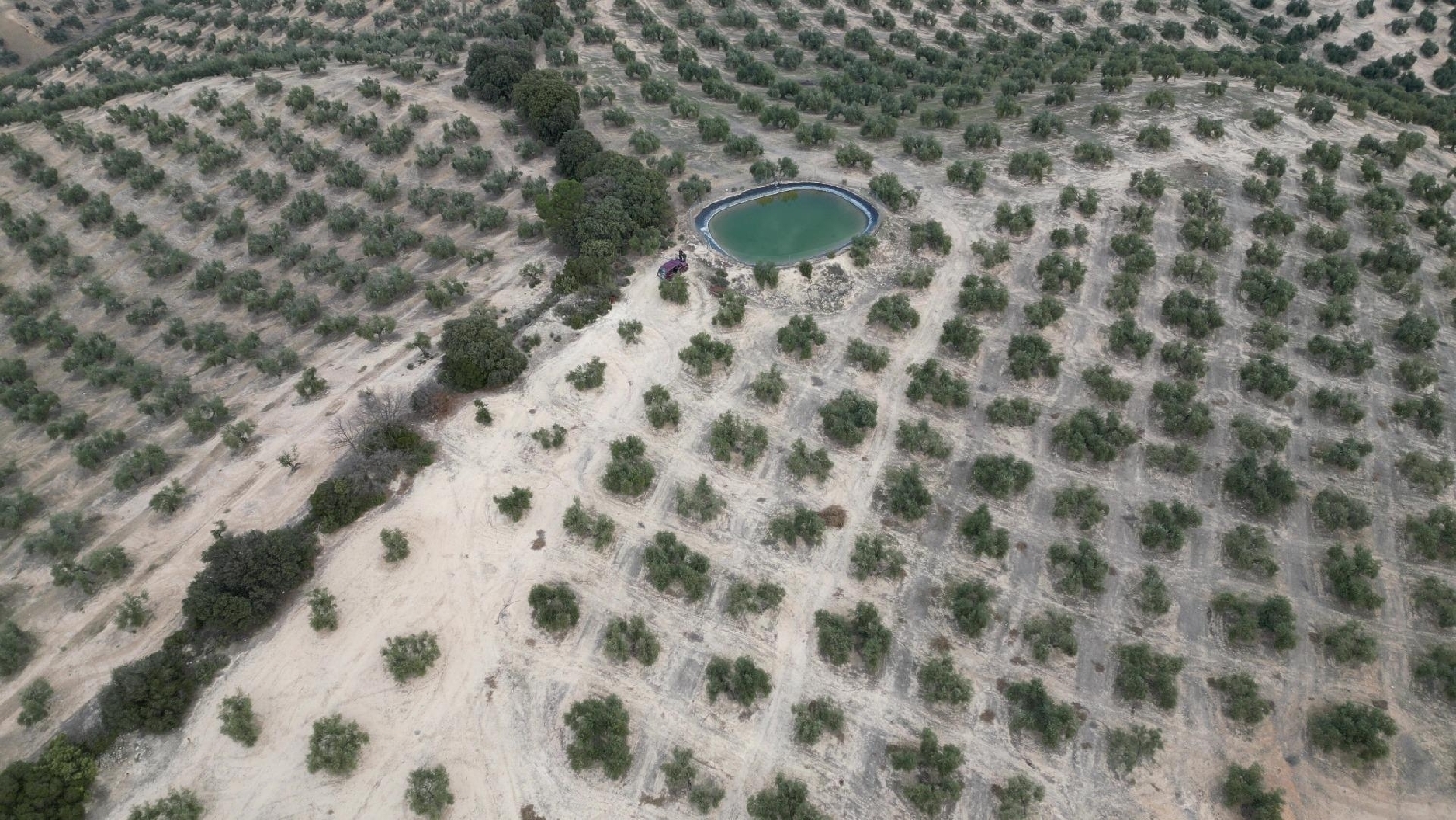 te koop boerderij Iznalloz Montes (Los) 1