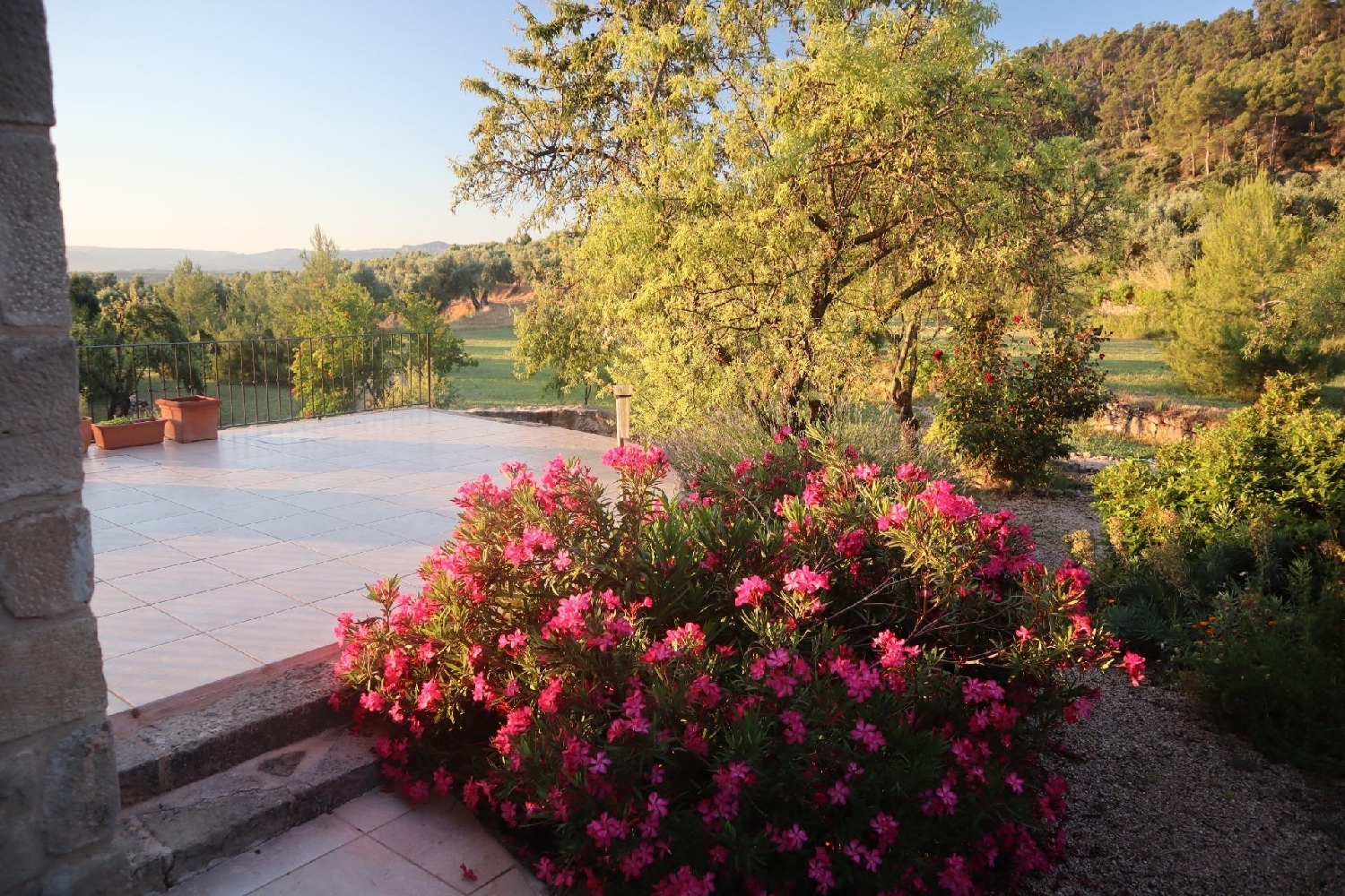  en venta finca rústica La Fresneda Matarraña 6