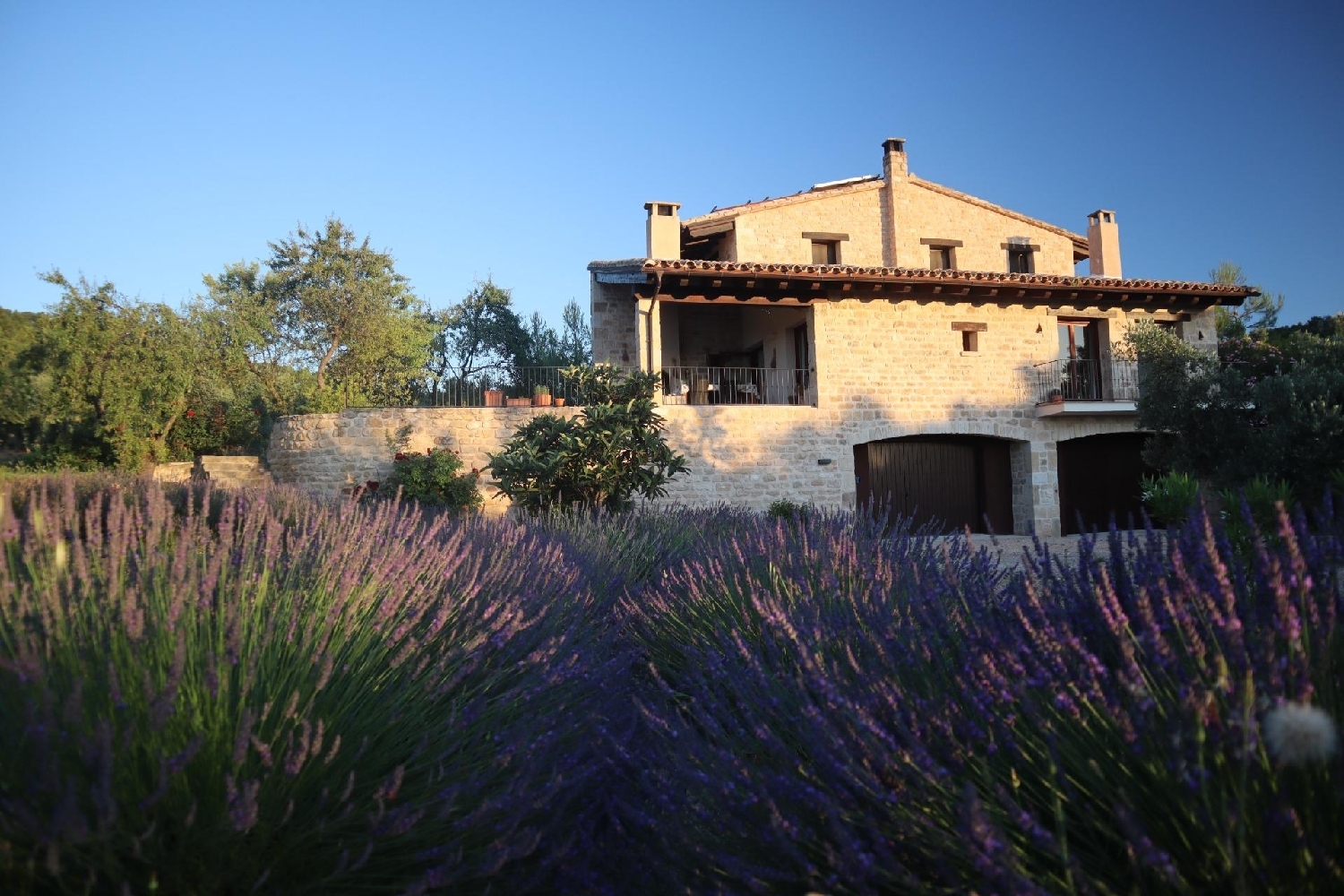  en venta finca rústica La Fresneda Matarraña 2
