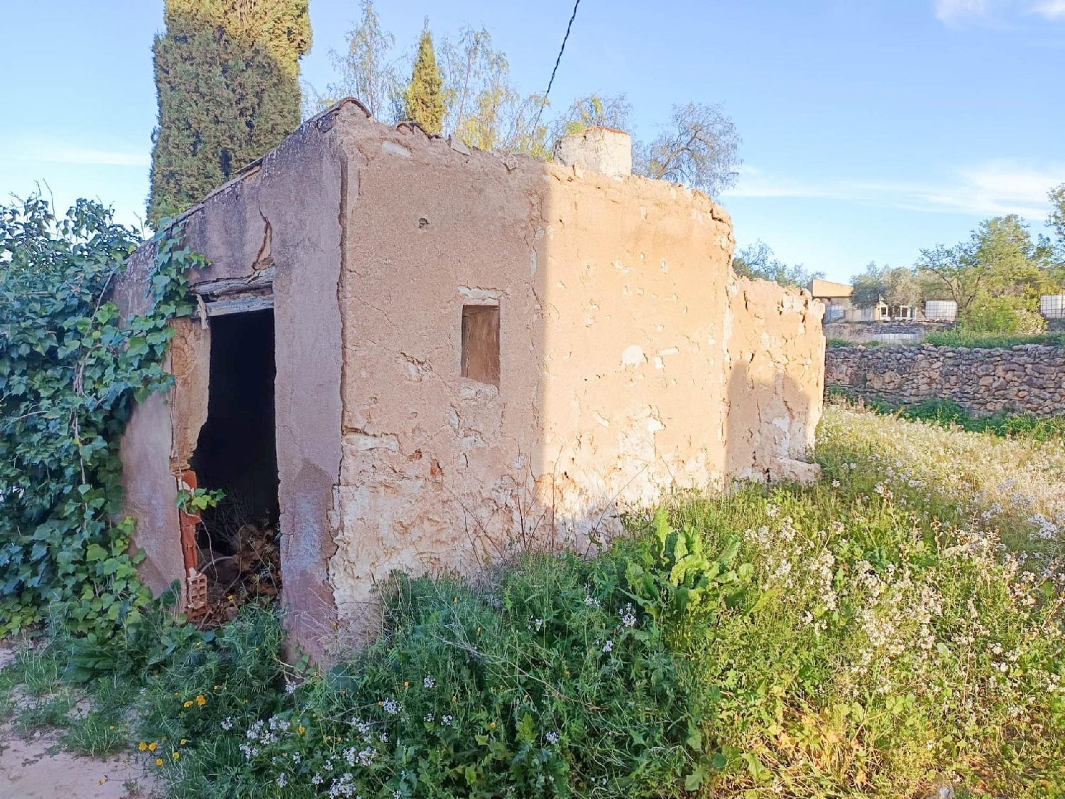 te koop boerderij La Romana Vinalopó Mitjà 4