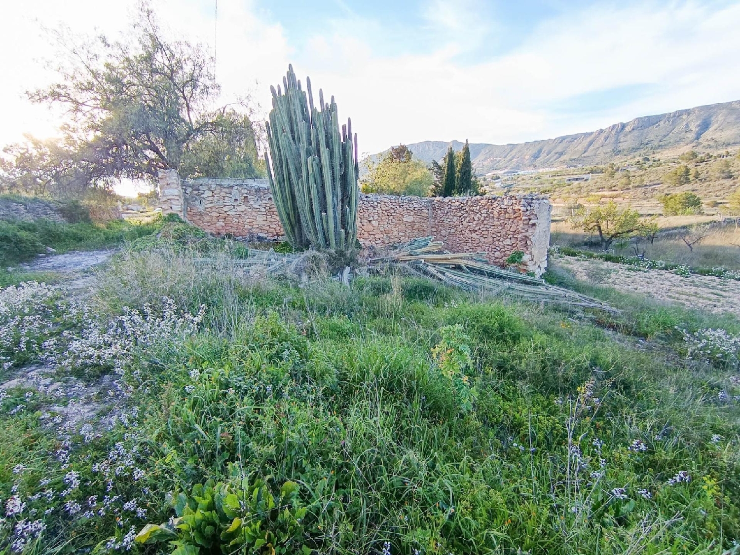 te koop boerderij La Romana Vinalopó Mitjà 2