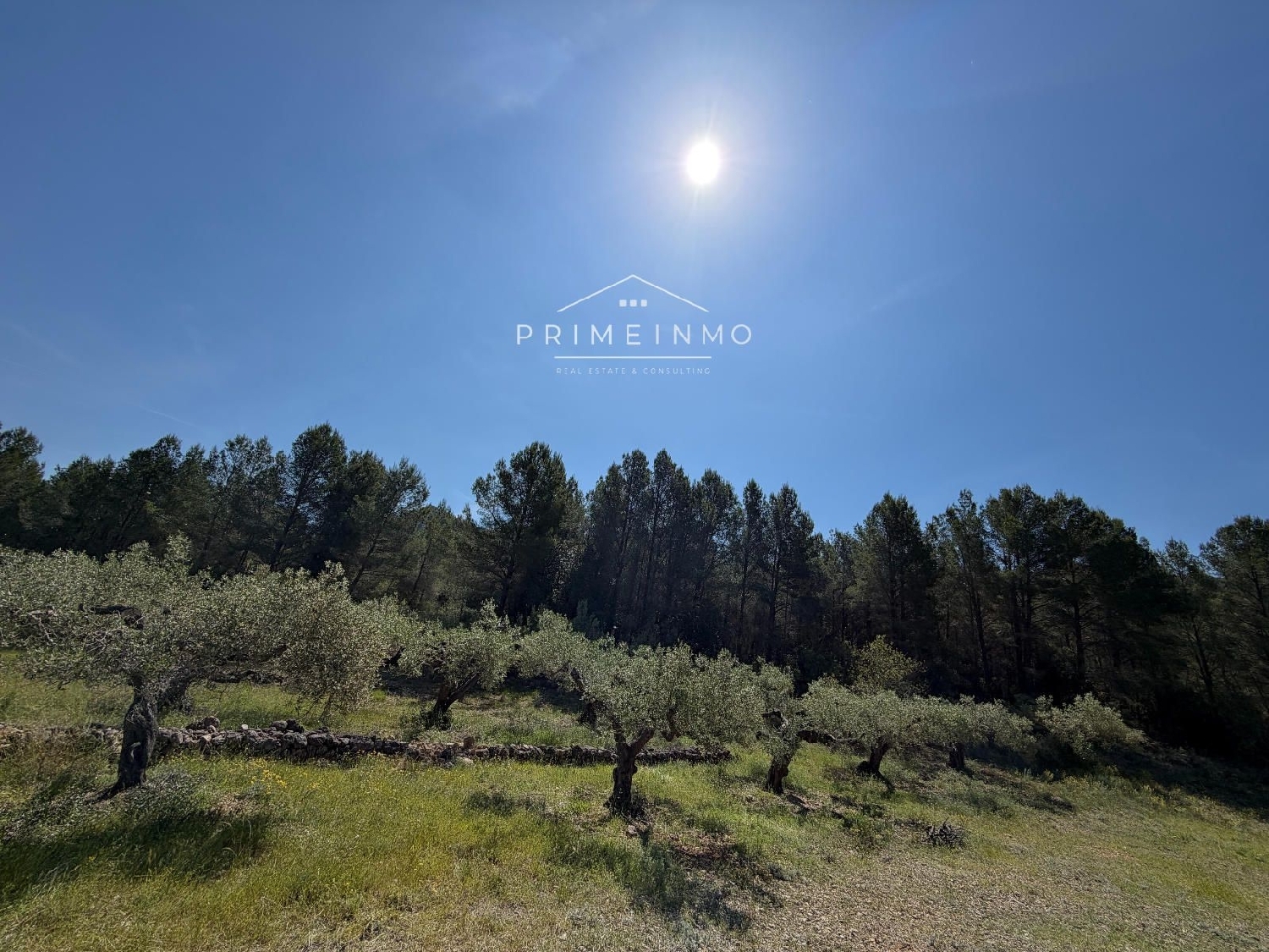 en venta finca rústica L'ametlla De Mar Baix Ebre 21