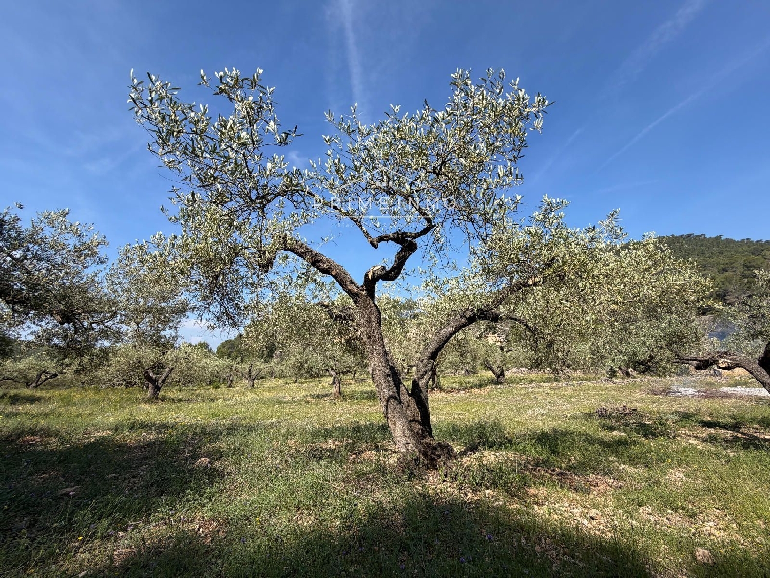 en venta finca rústica L'ametlla De Mar Baix Ebre 4