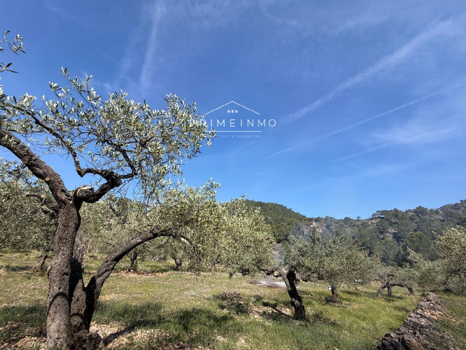en venta finca rústica L'ametlla De Mar Baix Ebre 5