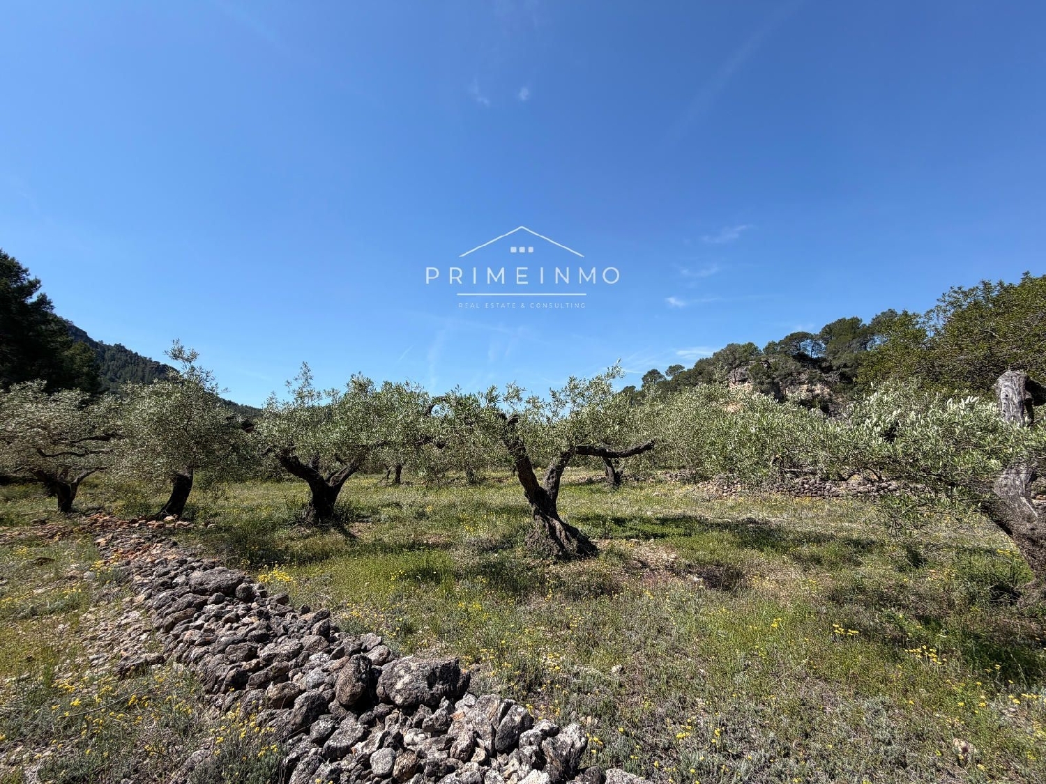 en venta finca rústica L'ametlla De Mar Baix Ebre 22
