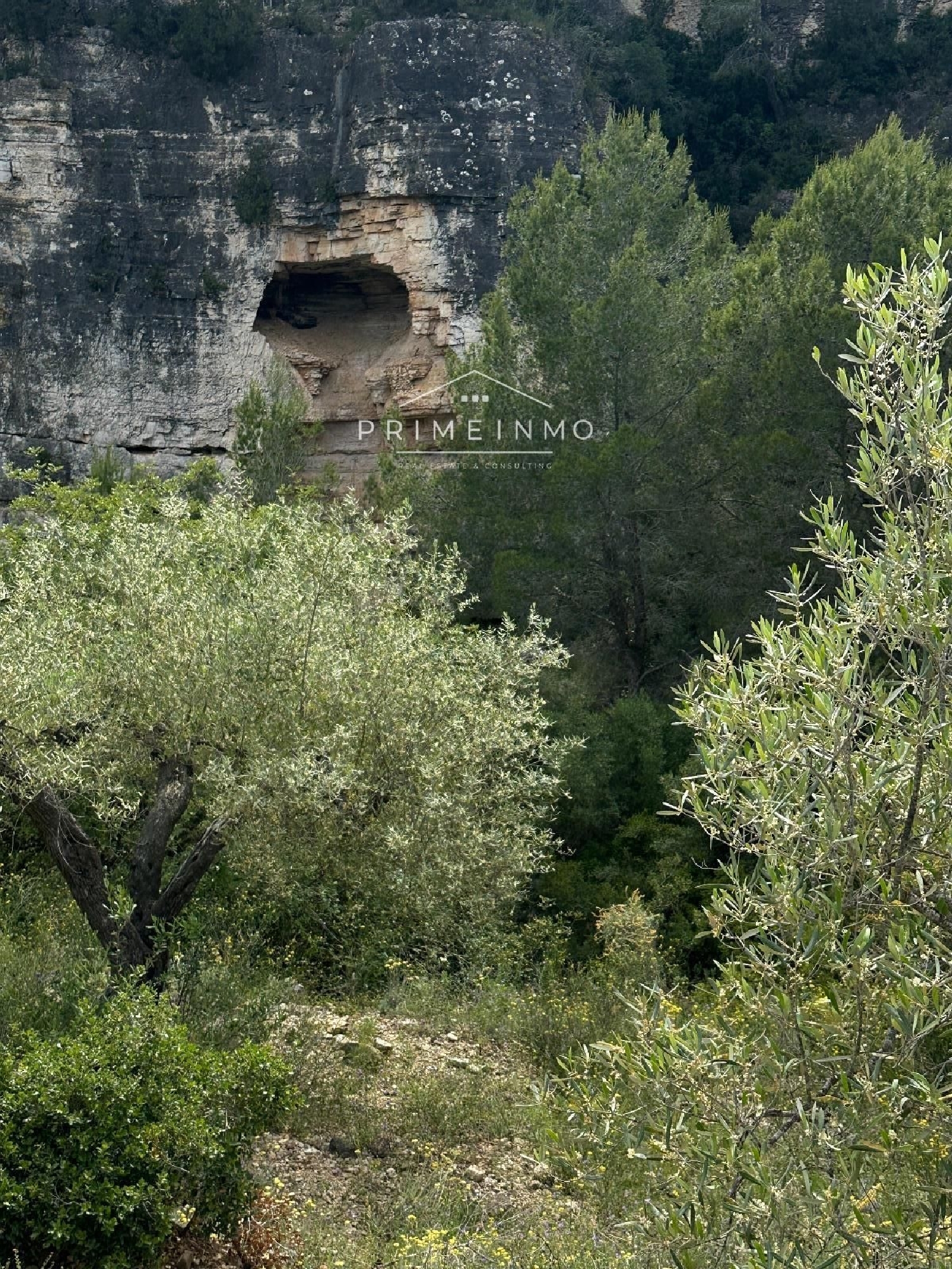 en venta finca rústica L'ametlla De Mar Baix Ebre 28