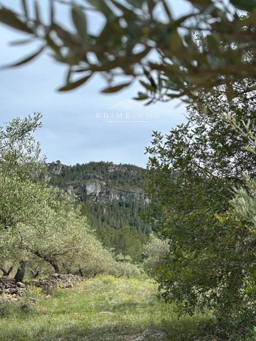 L''ametlla De Mar Baix Ebre maison de campagne foto