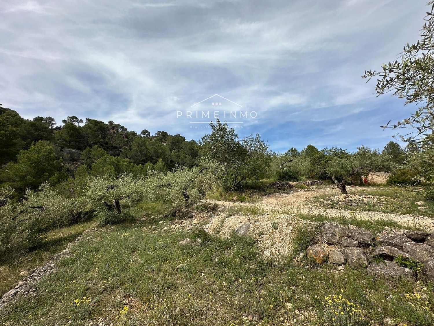 en venta finca rústica L'ametlla De Mar Baix Ebre 27