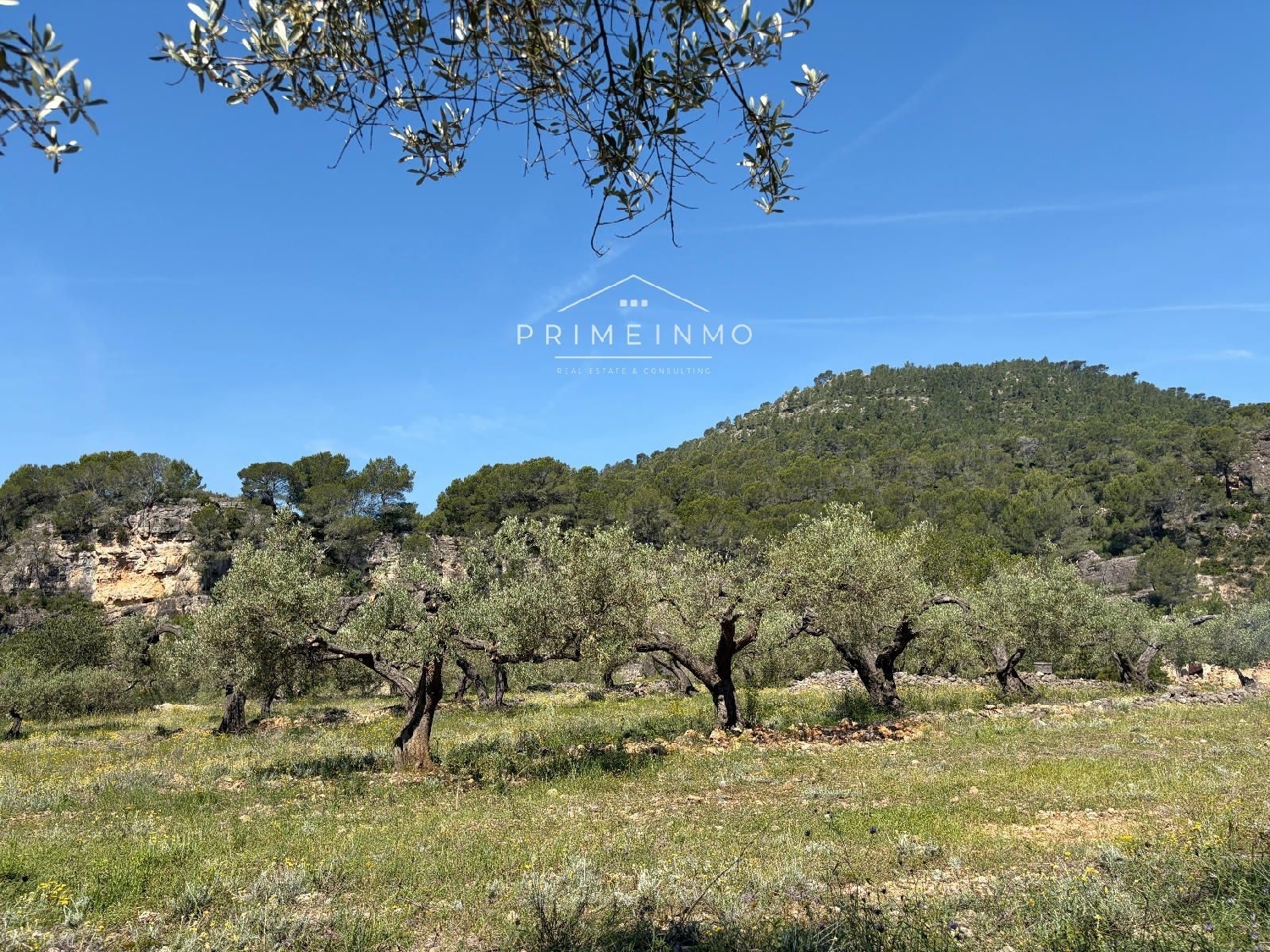 en venta finca rústica L'ametlla De Mar Baix Ebre 8