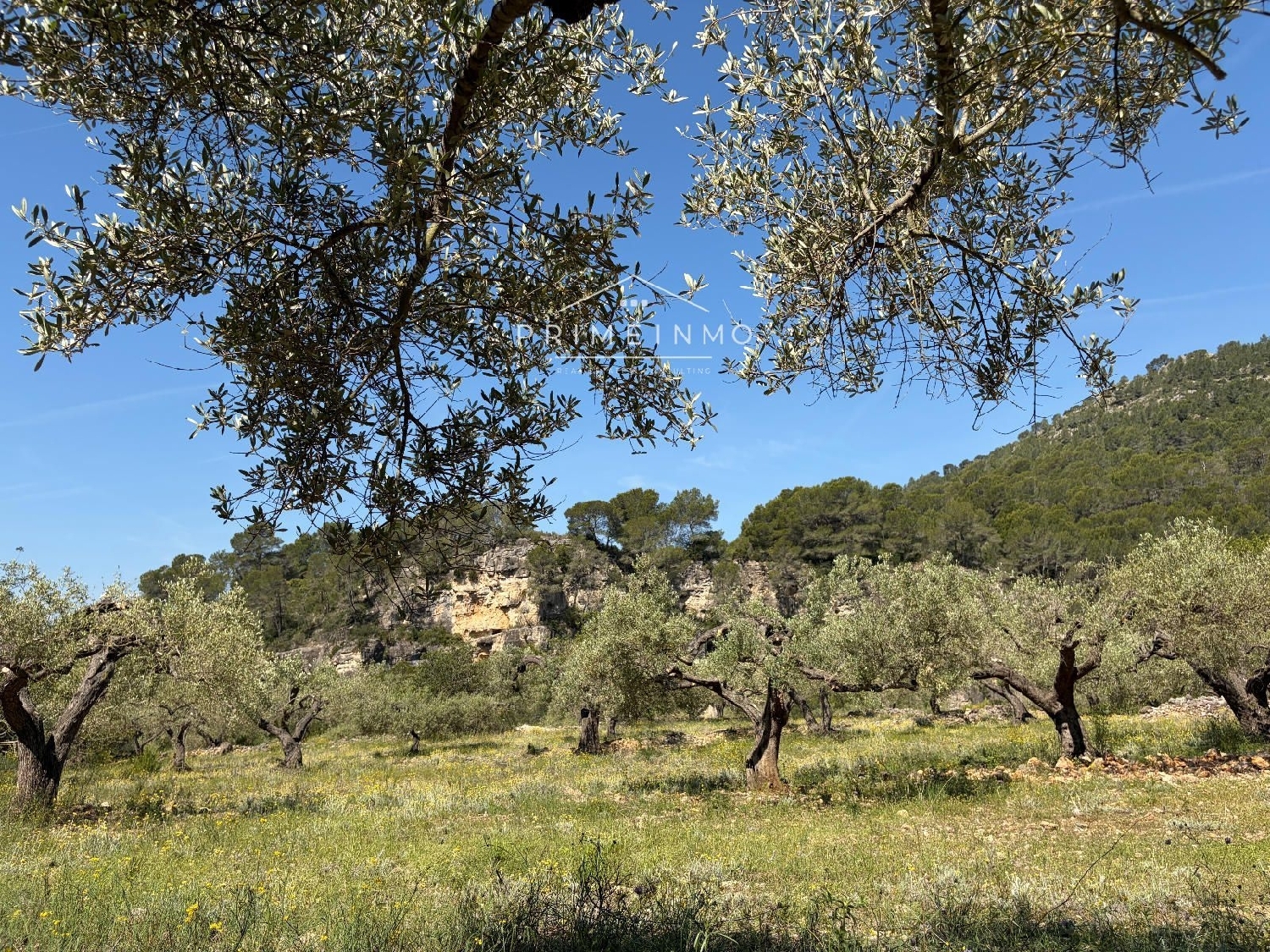 en venta finca rústica L'ametlla De Mar Baix Ebre 6