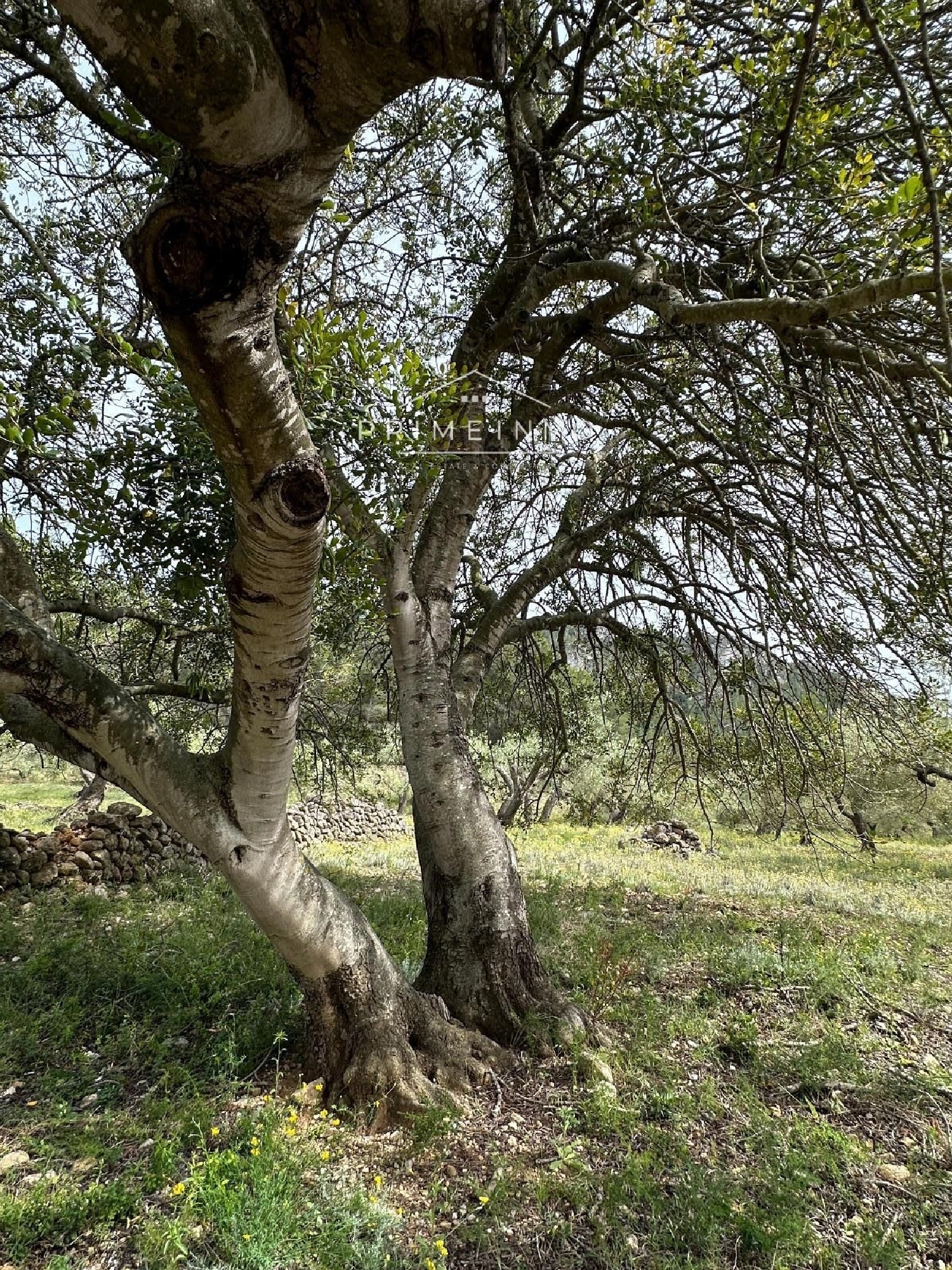 en venta finca rústica L'ametlla De Mar Baix Ebre 26