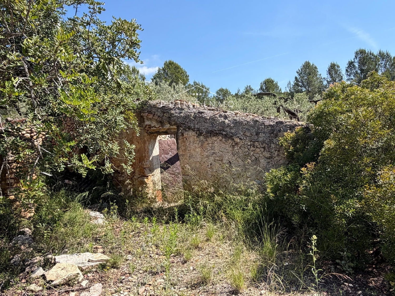 en venta finca rústica L'ametlla De Mar Baix Ebre 16