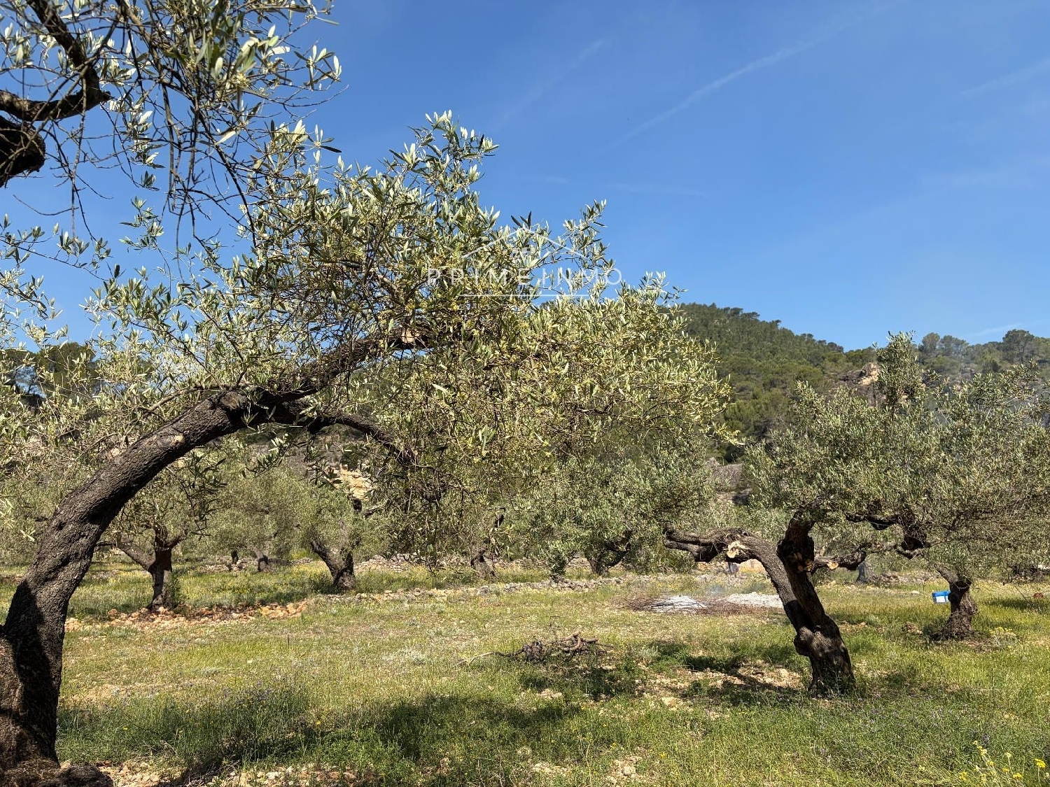 en venta finca rústica L'ametlla De Mar Baix Ebre 3