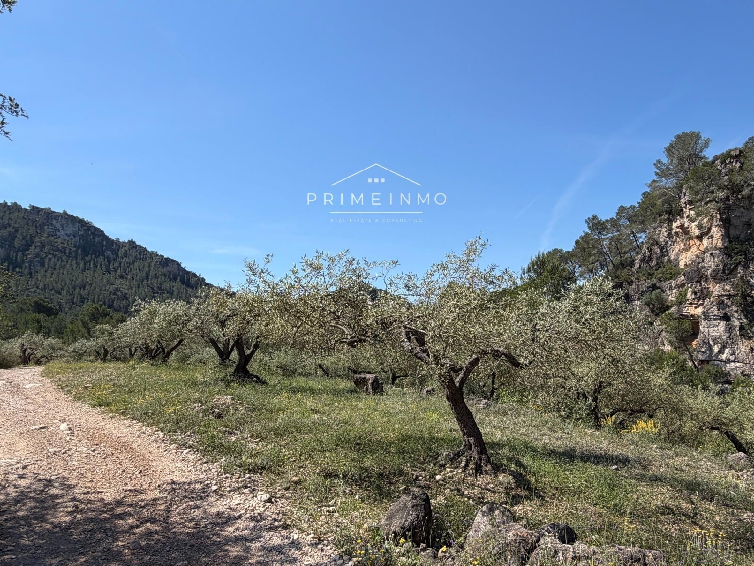 en venta finca rústica L'ametlla De Mar Baix Ebre 18