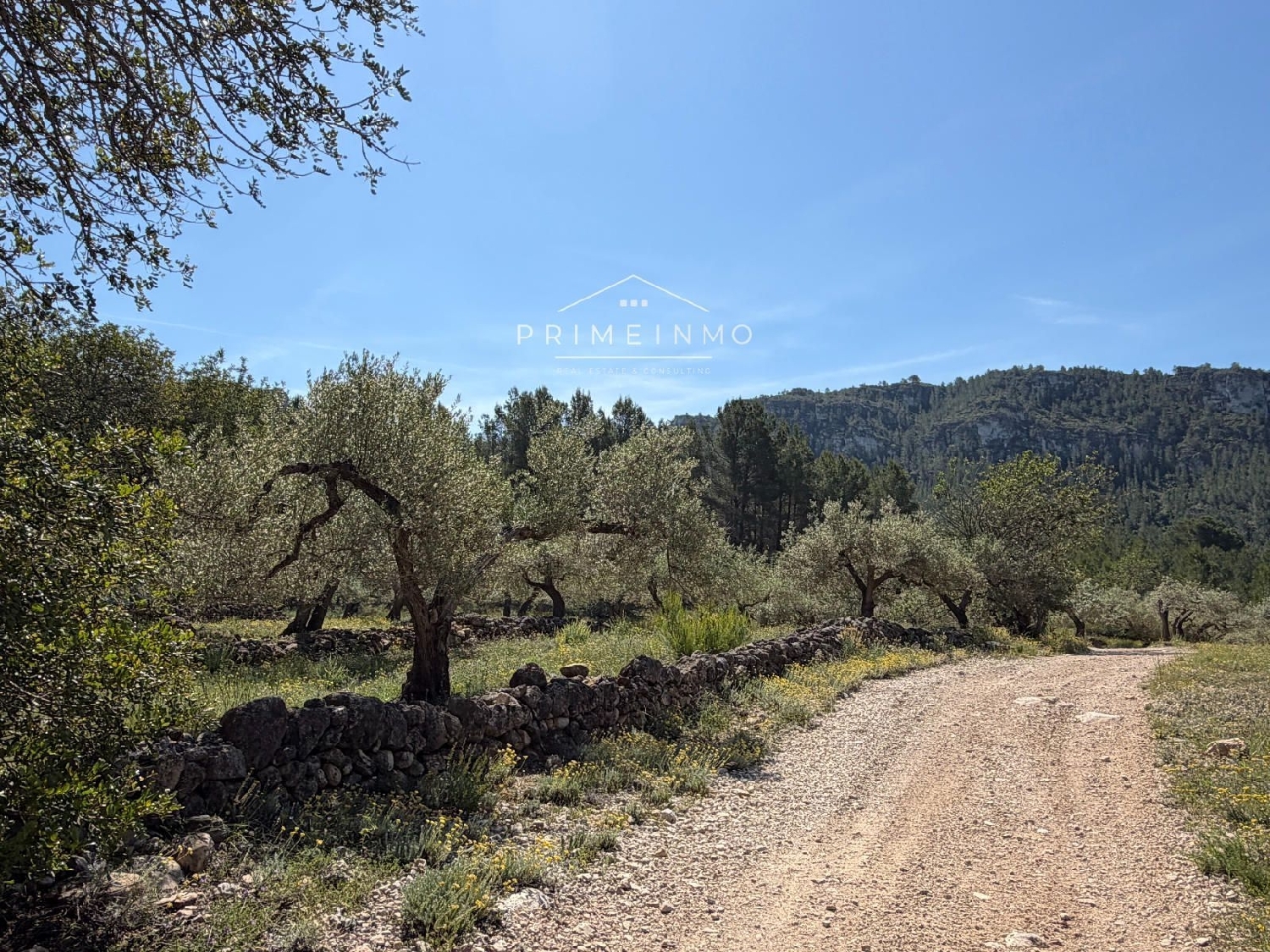en venta finca rústica L'ametlla De Mar Baix Ebre 19