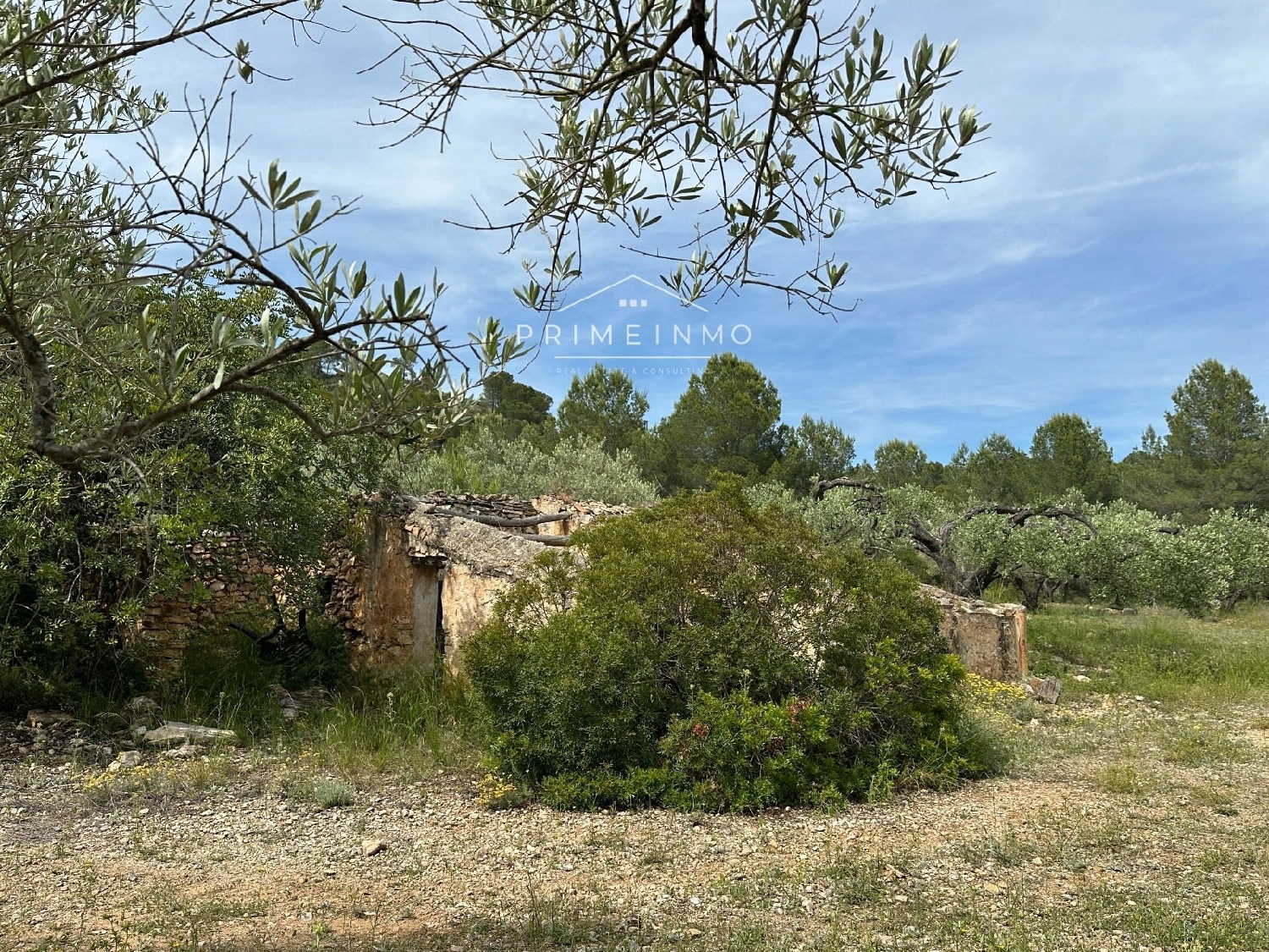 en venta finca rústica L'ametlla De Mar Baix Ebre 24