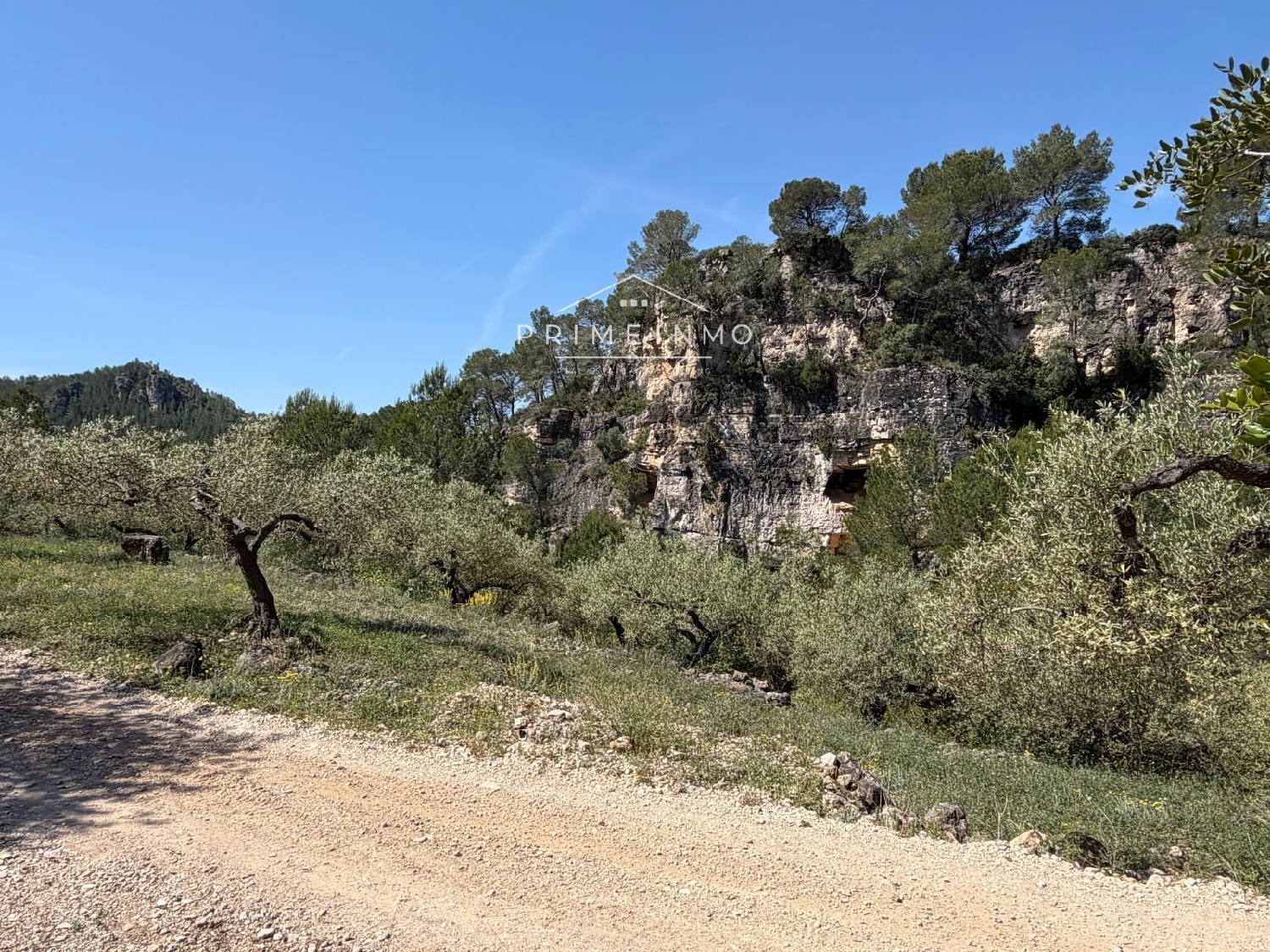 en venta finca rústica L'ametlla De Mar Baix Ebre 17