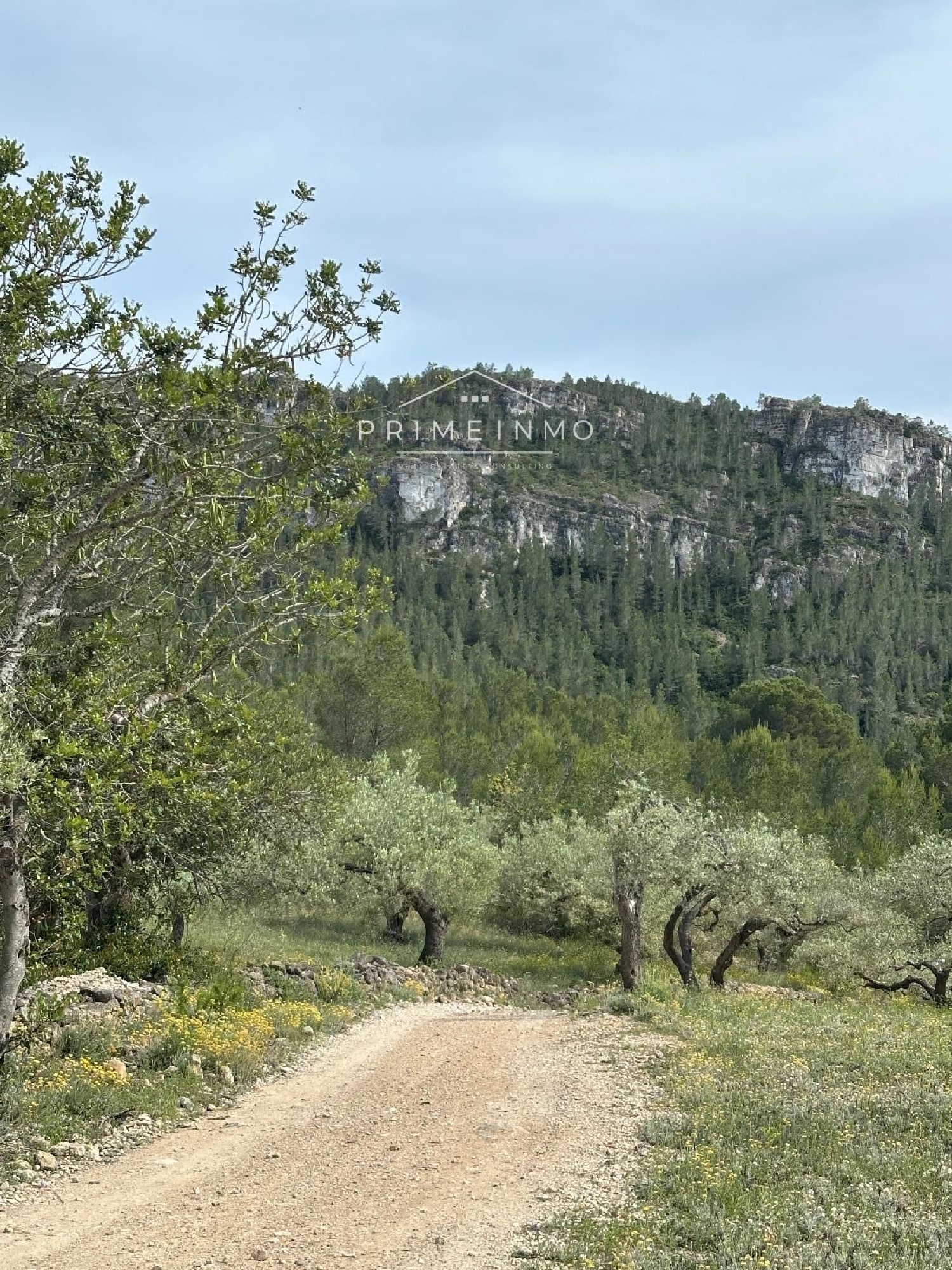 en venta finca rústica L'ametlla De Mar Baix Ebre 29