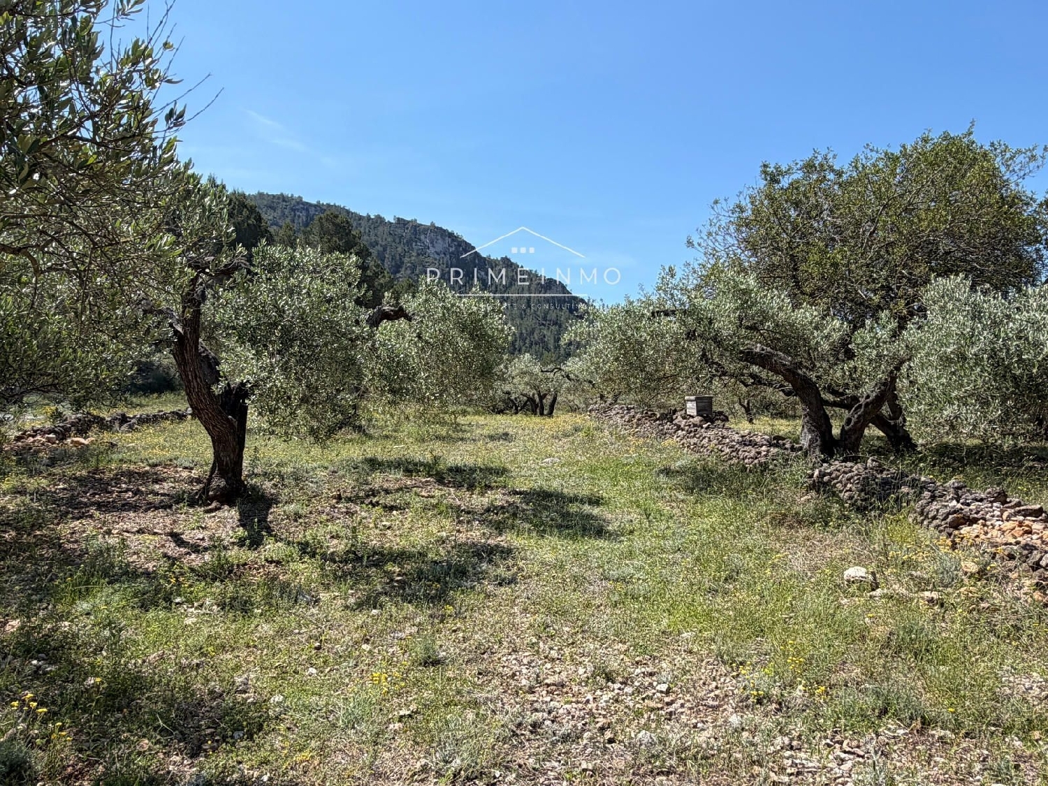 en venta finca rústica L'ametlla De Mar Baix Ebre 14
