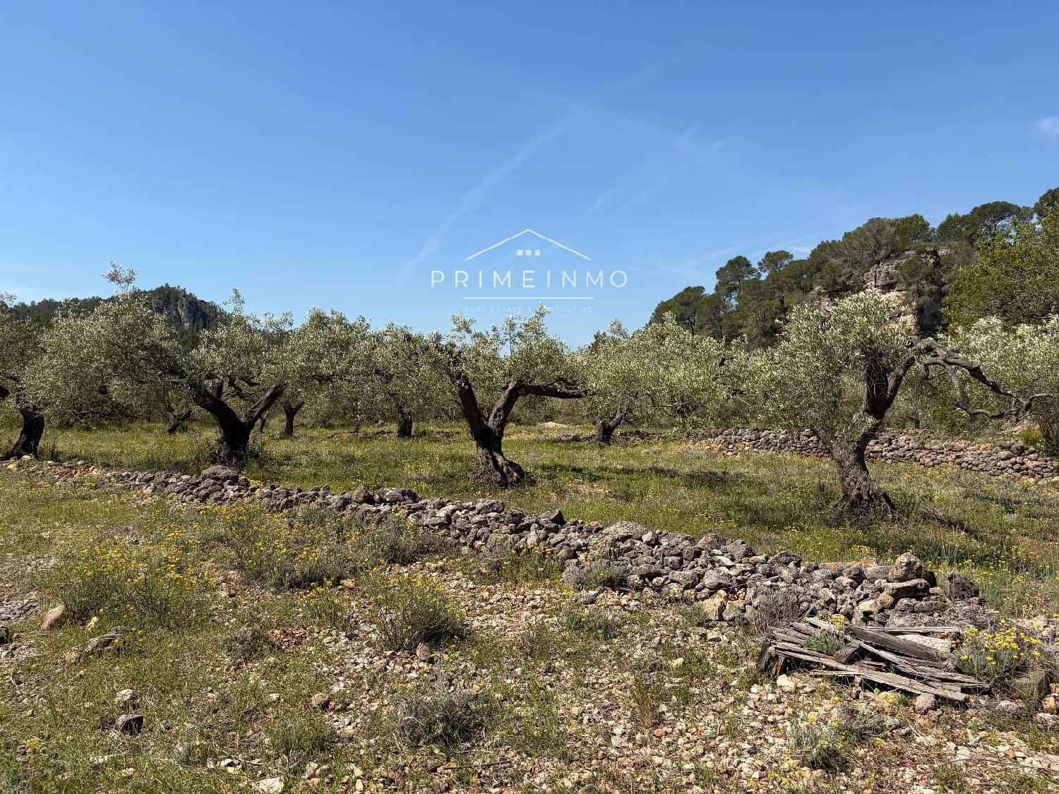 en venta finca rústica L'ametlla De Mar Baix Ebre 12