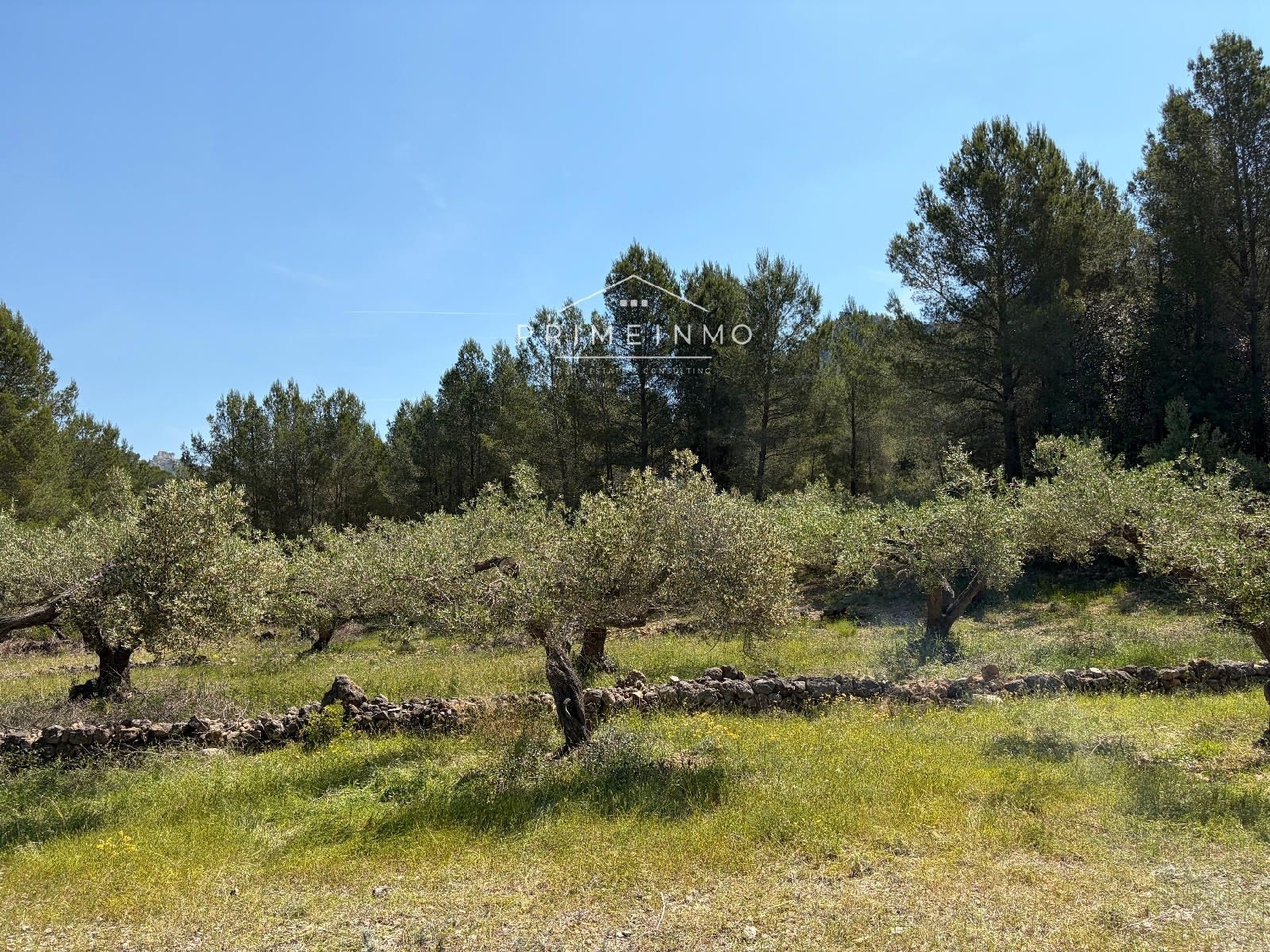 en venta finca rústica L'ametlla De Mar Baix Ebre 20