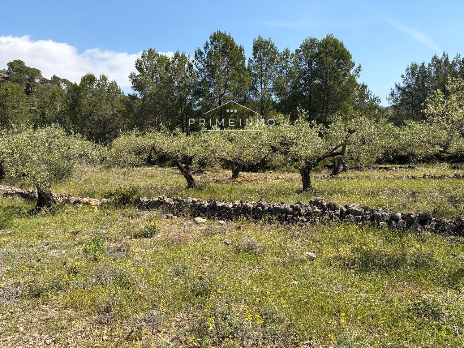 en venta finca rústica L'ametlla De Mar Baix Ebre 13