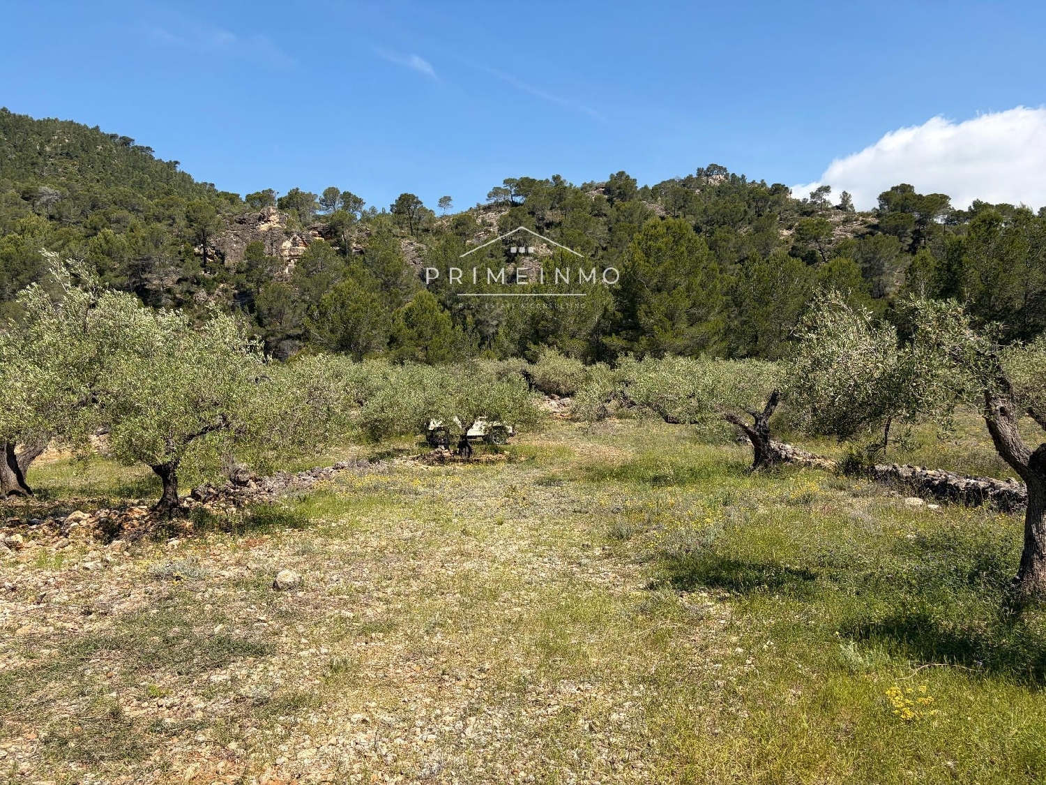 en venta finca rústica L'ametlla De Mar Baix Ebre 10