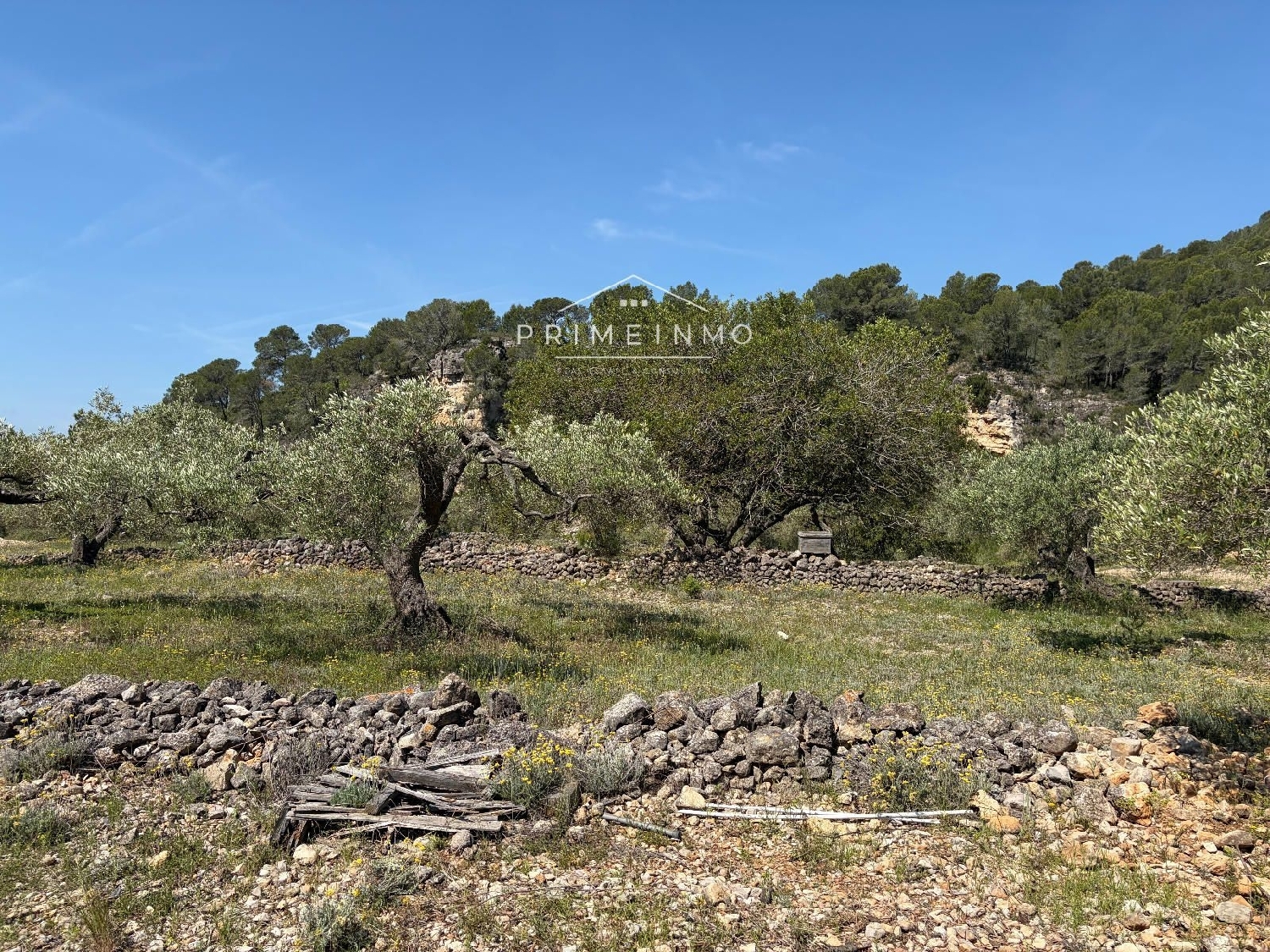 en venta finca rústica L'ametlla De Mar Baix Ebre 11