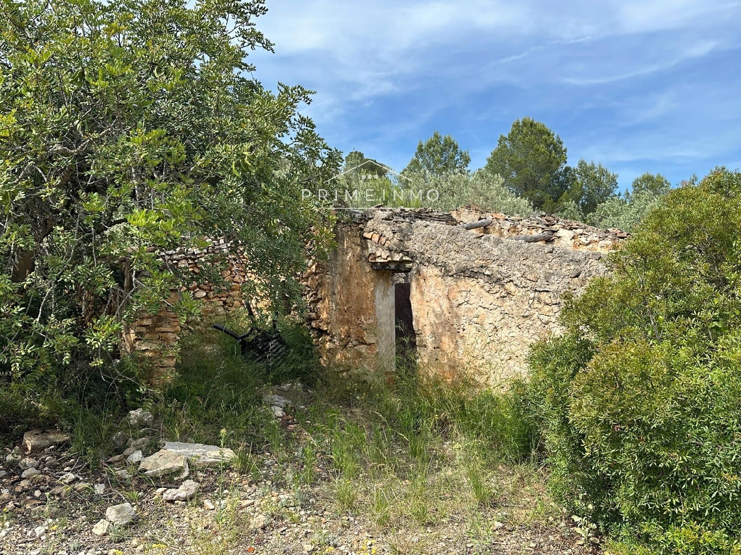 en venta finca rústica L'ametlla De Mar Baix Ebre 25