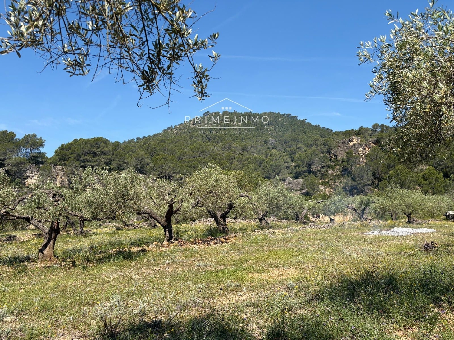 en venta finca rústica L'ametlla De Mar Baix Ebre 9