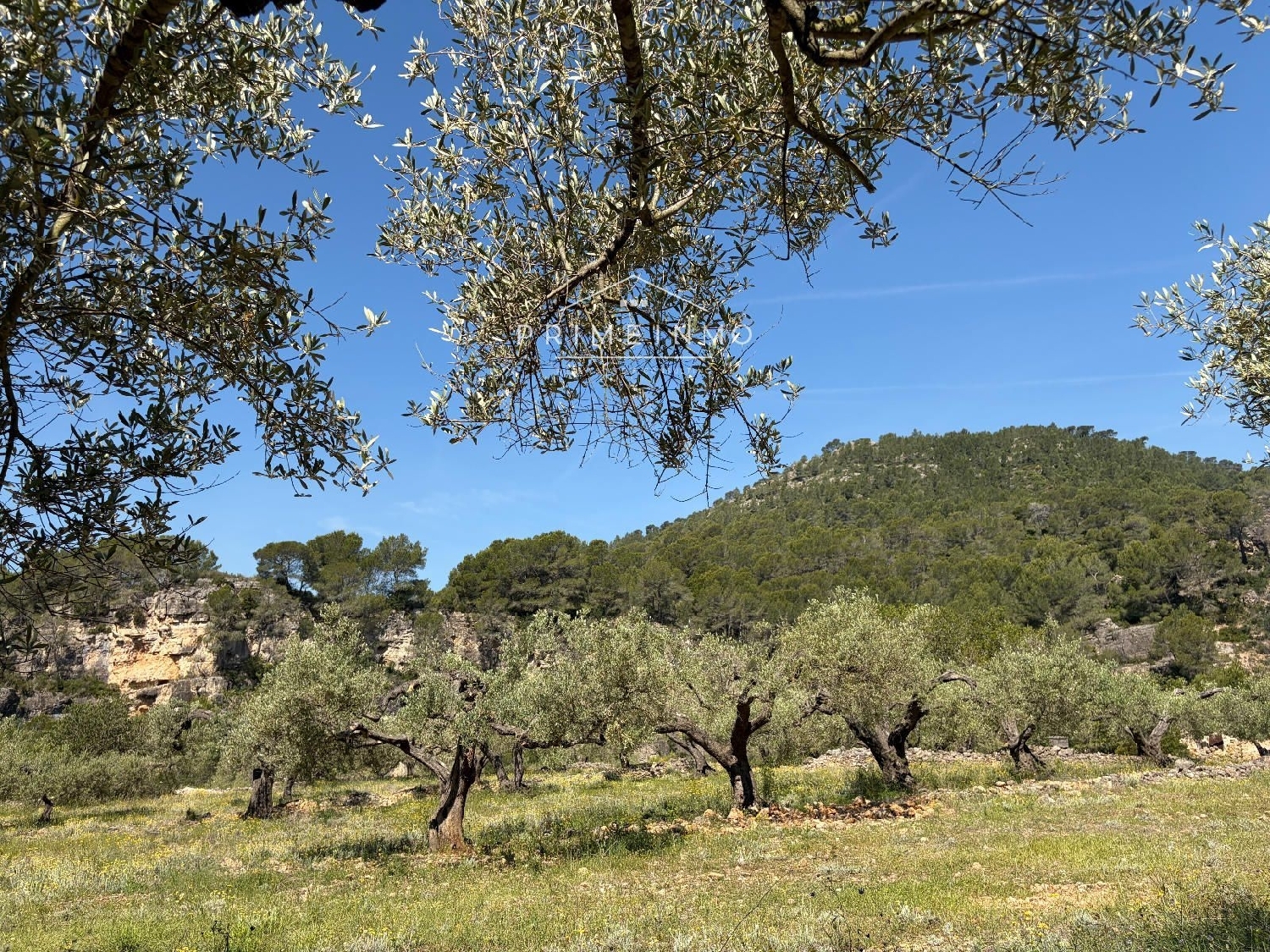 en venta finca rústica L'ametlla De Mar Baix Ebre 7