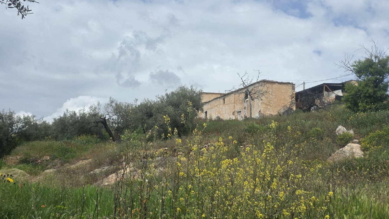  en venta finca rústica Láujar De Andarax Alpujarra Almeriense 5