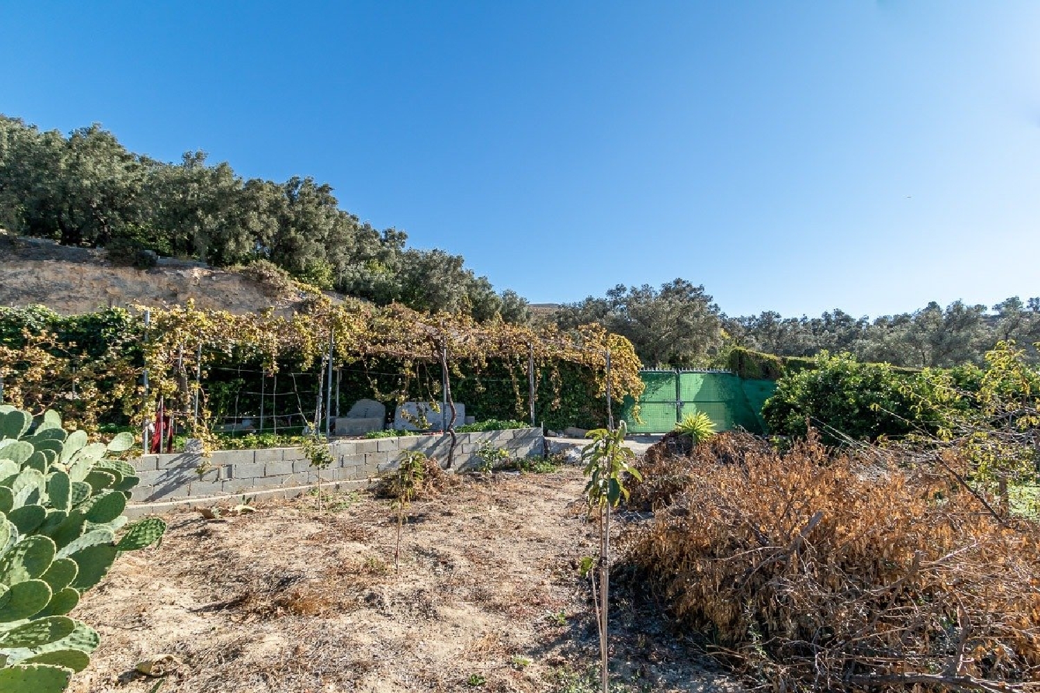  te koop boerderij Lecrín Valle De Lecrín 7