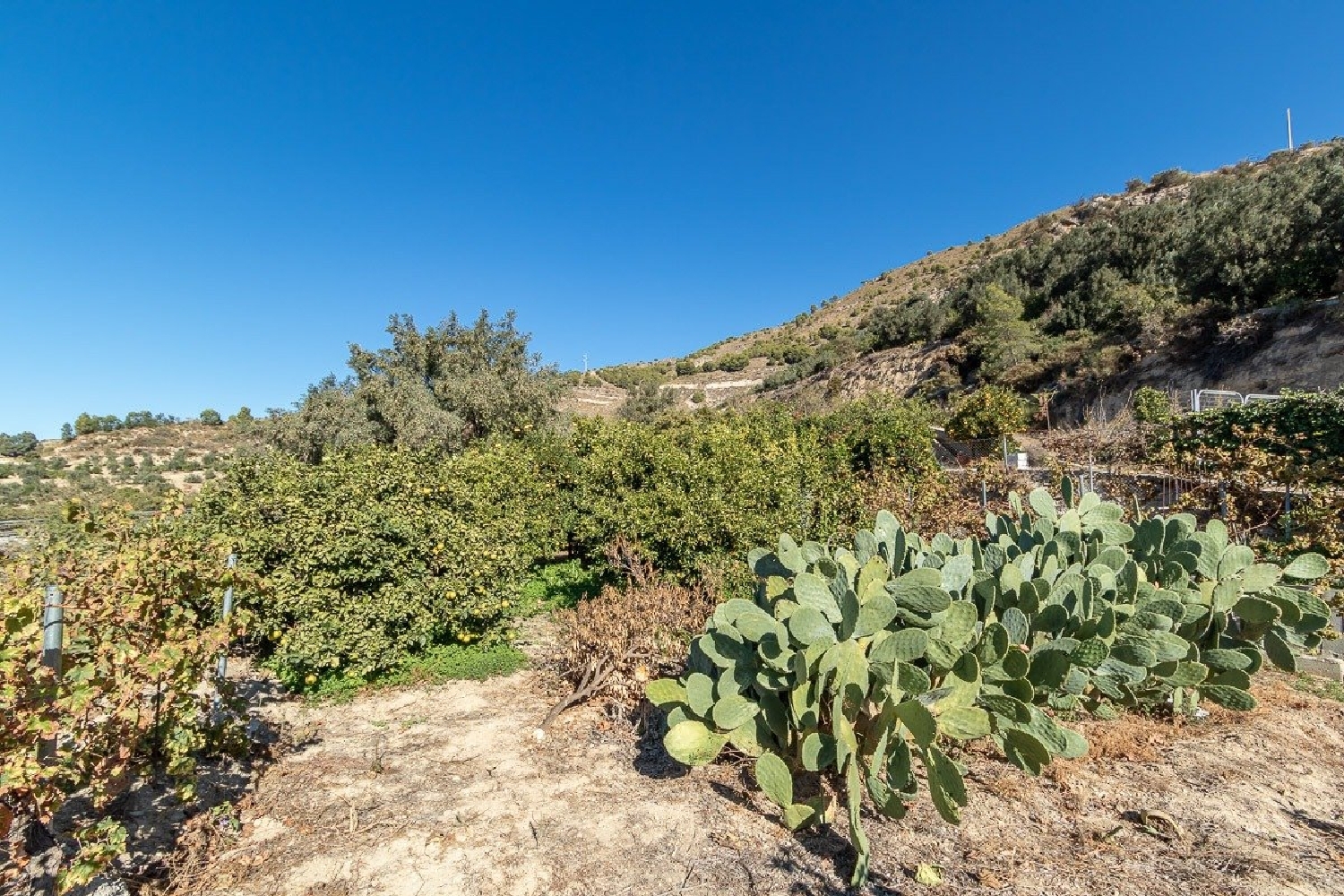  te koop boerderij Lecrín Valle De Lecrín 5