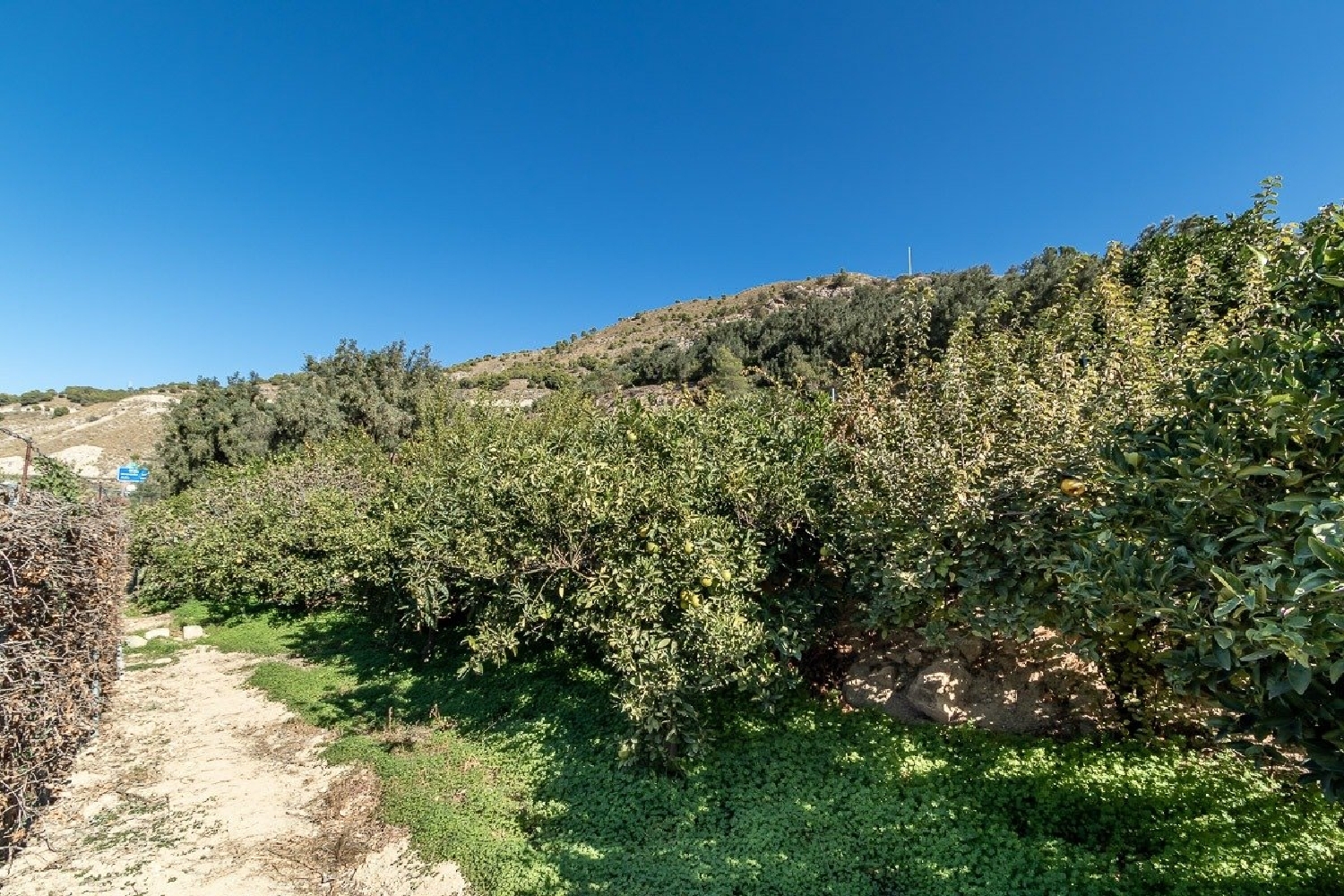  te koop boerderij Lecrín Valle De Lecrín 6