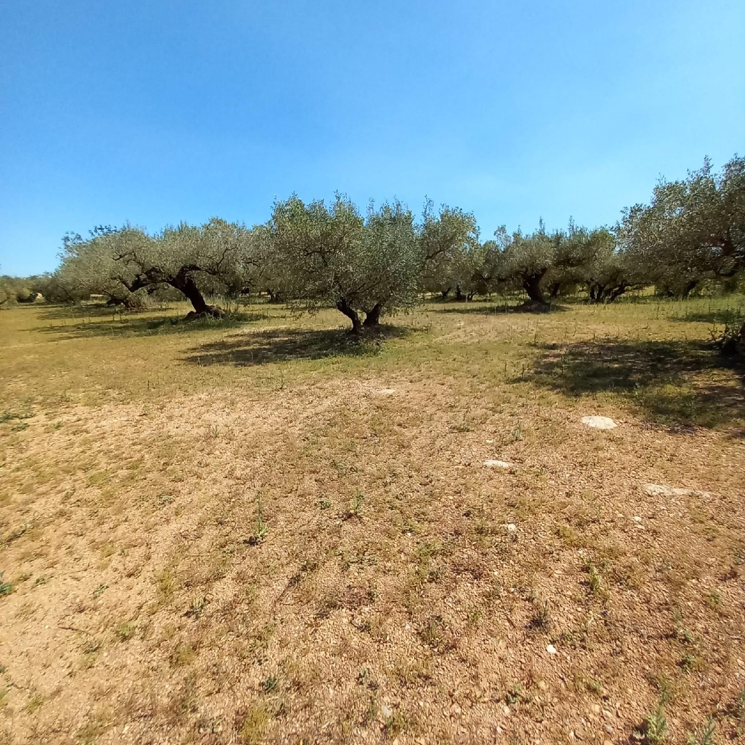  à vendre maison de campagne Les Roquetes Garraf 5