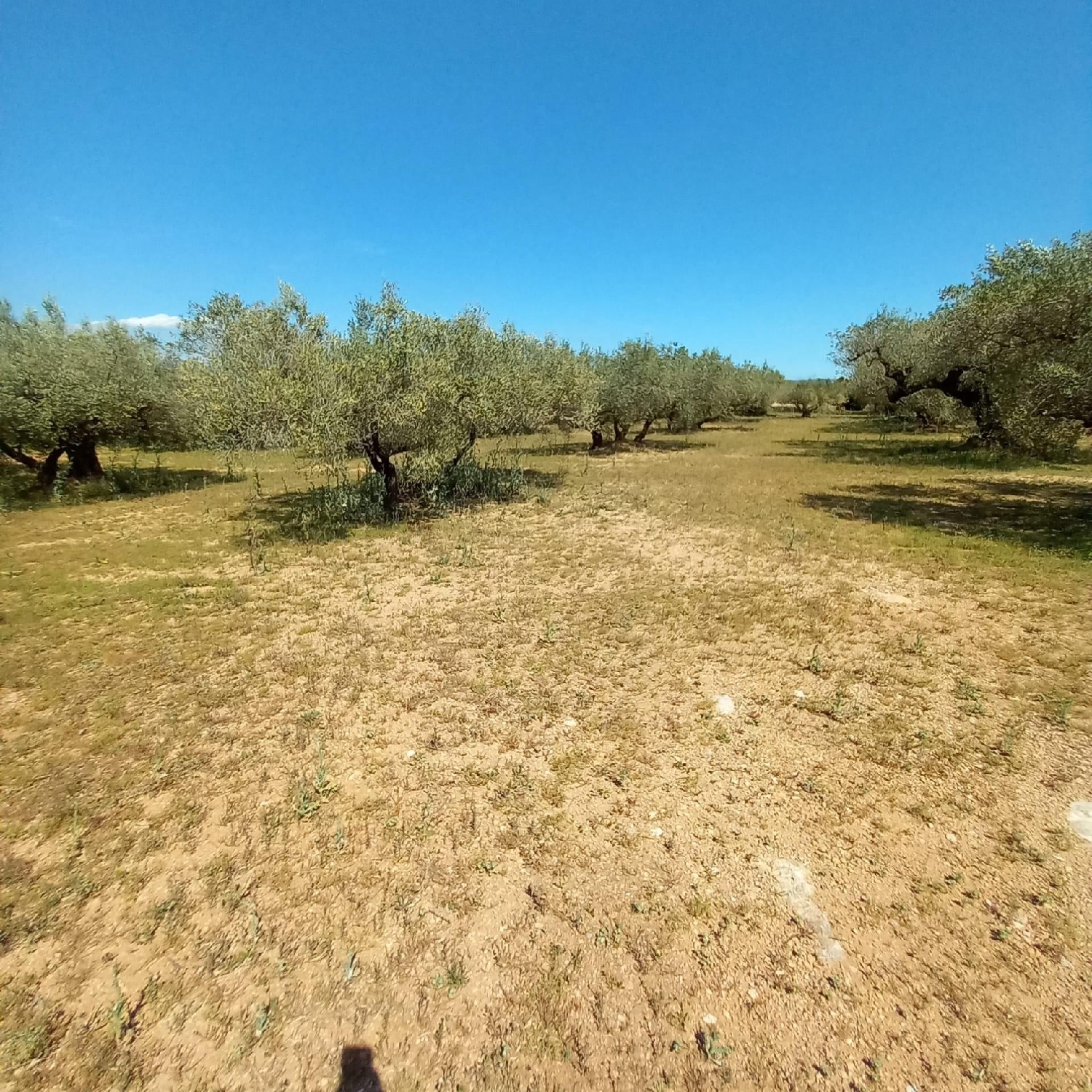  à vendre maison de campagne Les Roquetes Garraf 4