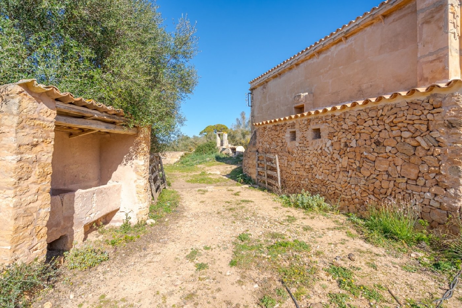  en venta finca rústica Llucmajor Llucmajor 3
