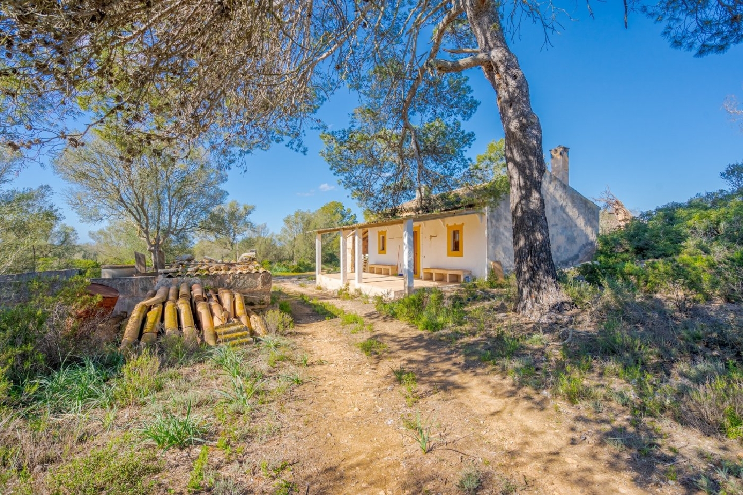  en venta finca rústica Llucmajor Llucmajor 8